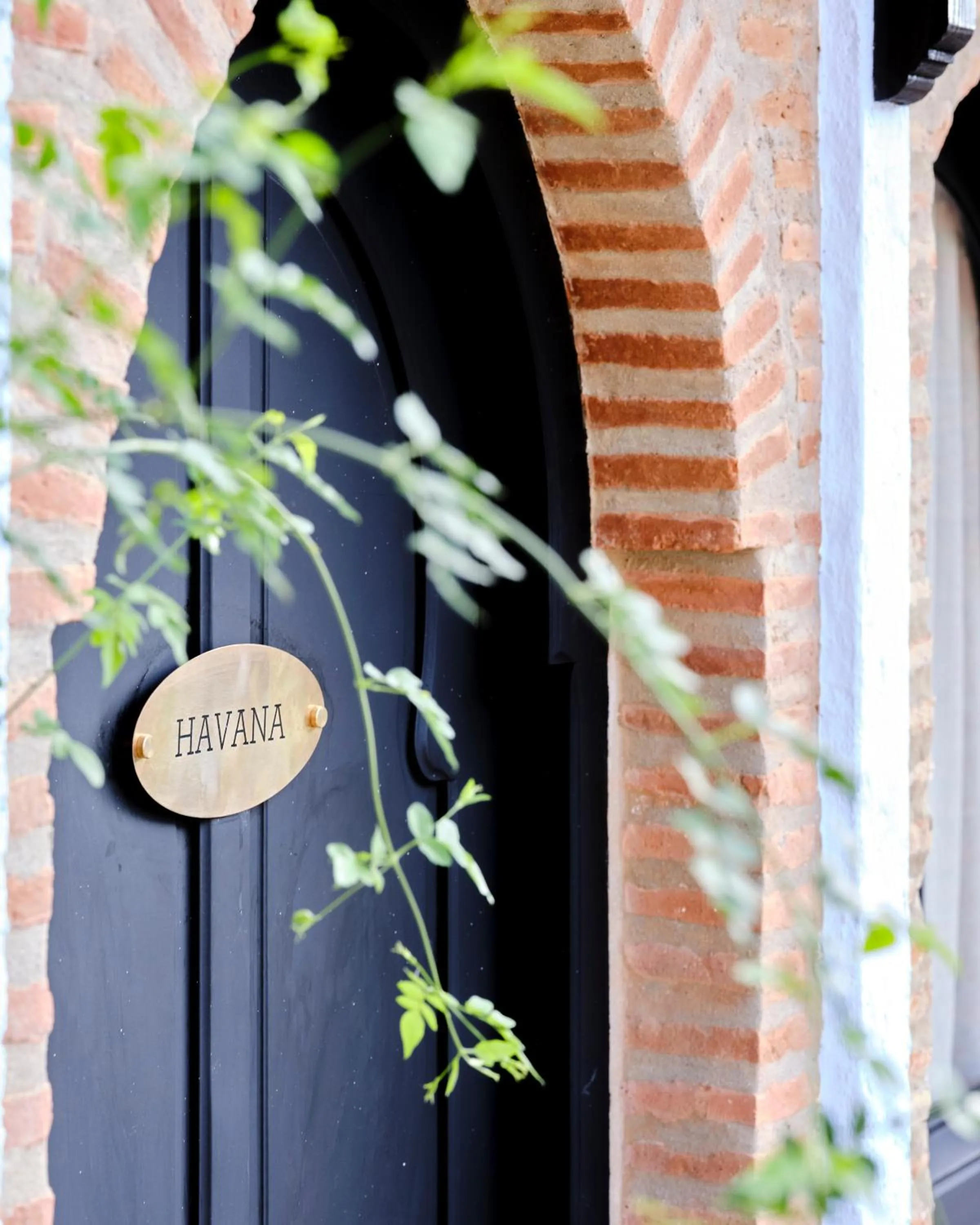 Property logo or sign in Dar Jasmine