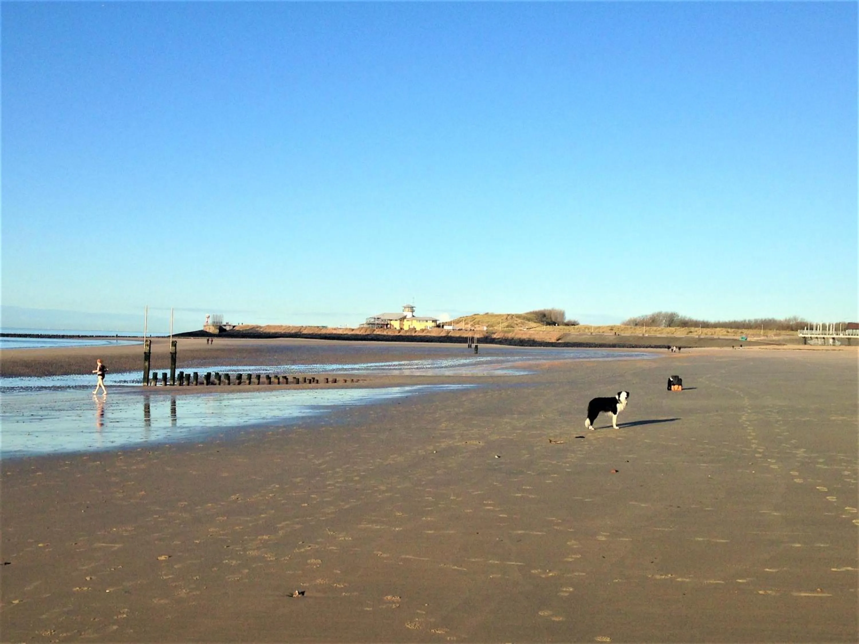 Beach in Westerschelde B&B