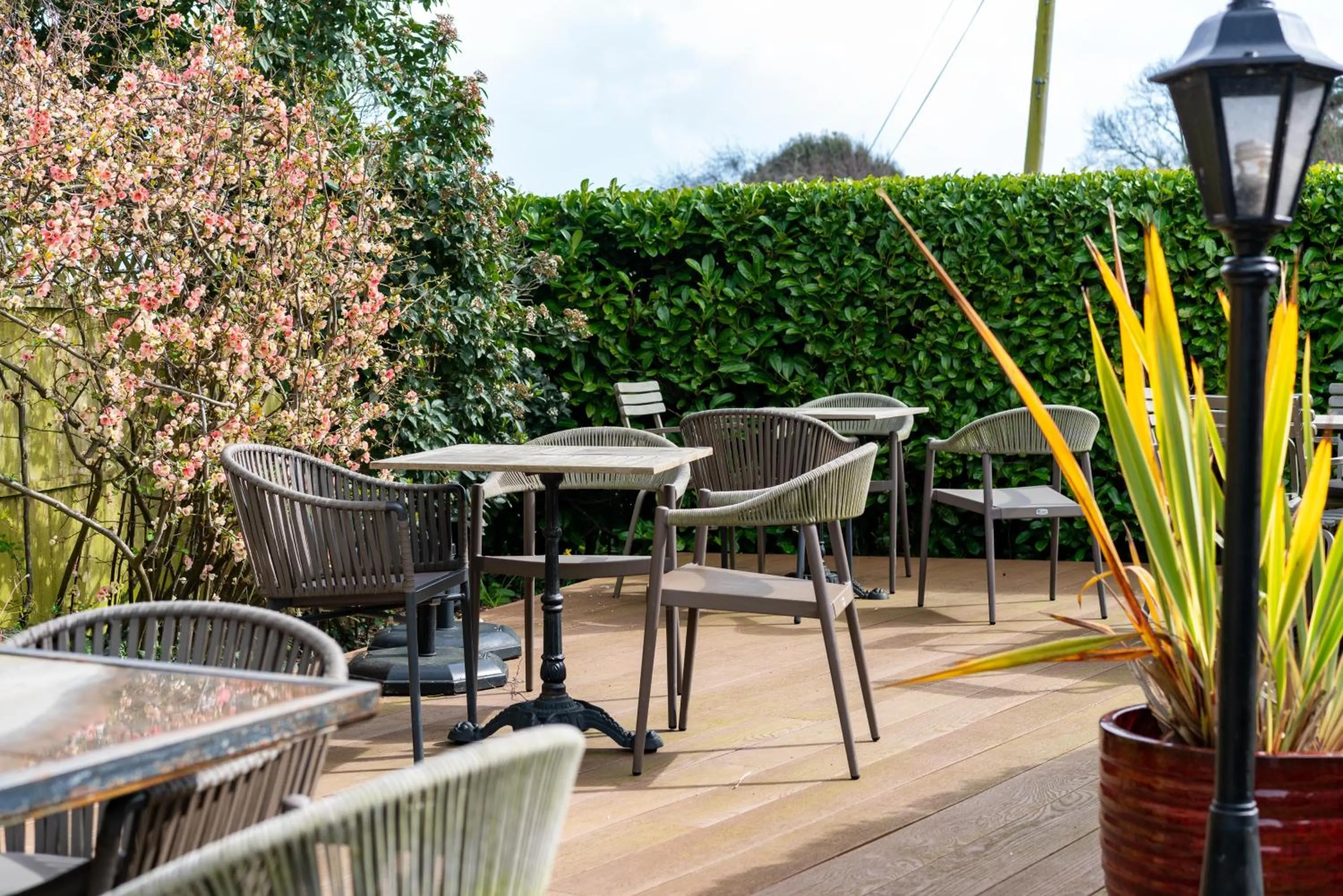 Garden in The Royal Oak Inn