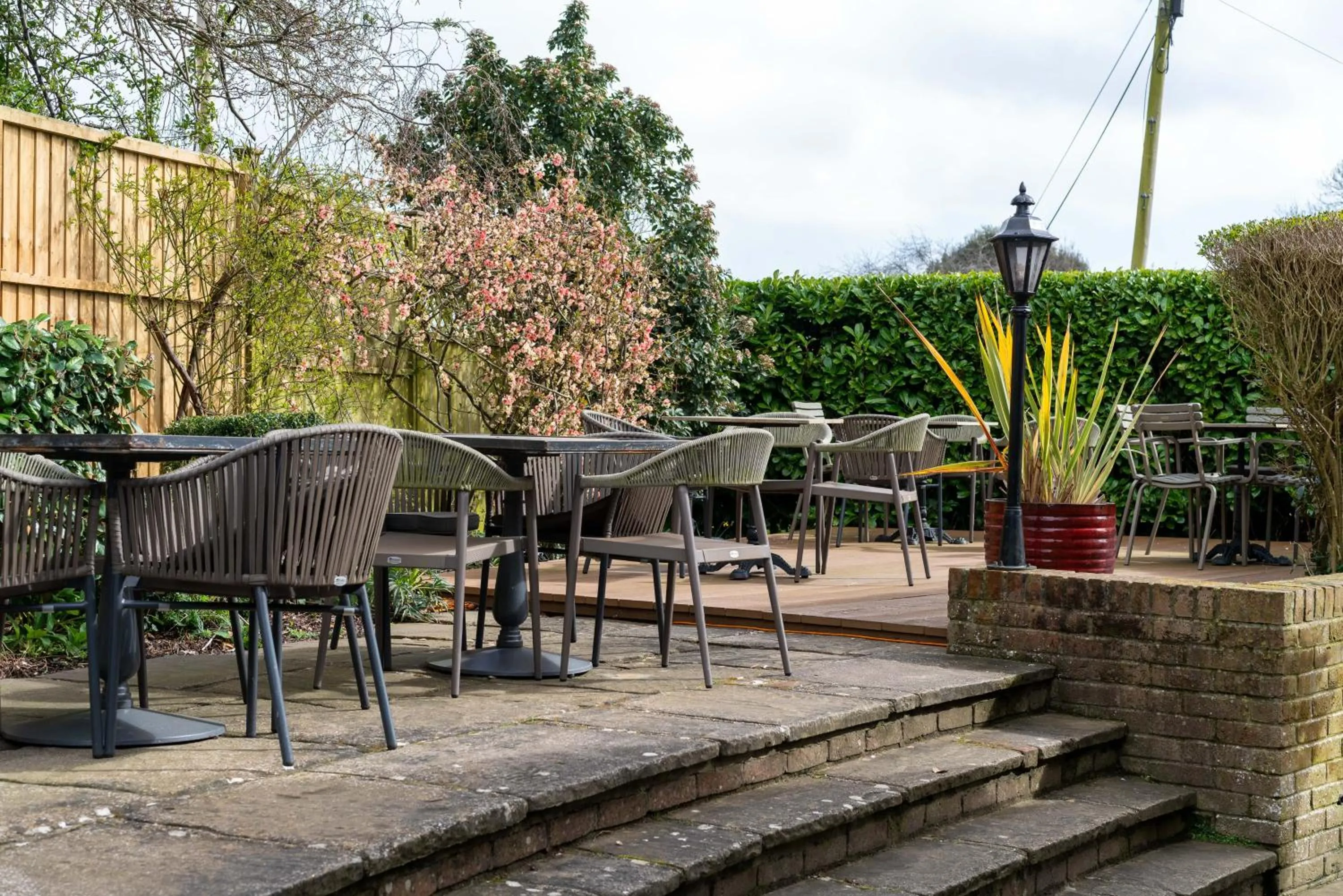 Garden in The Royal Oak Inn