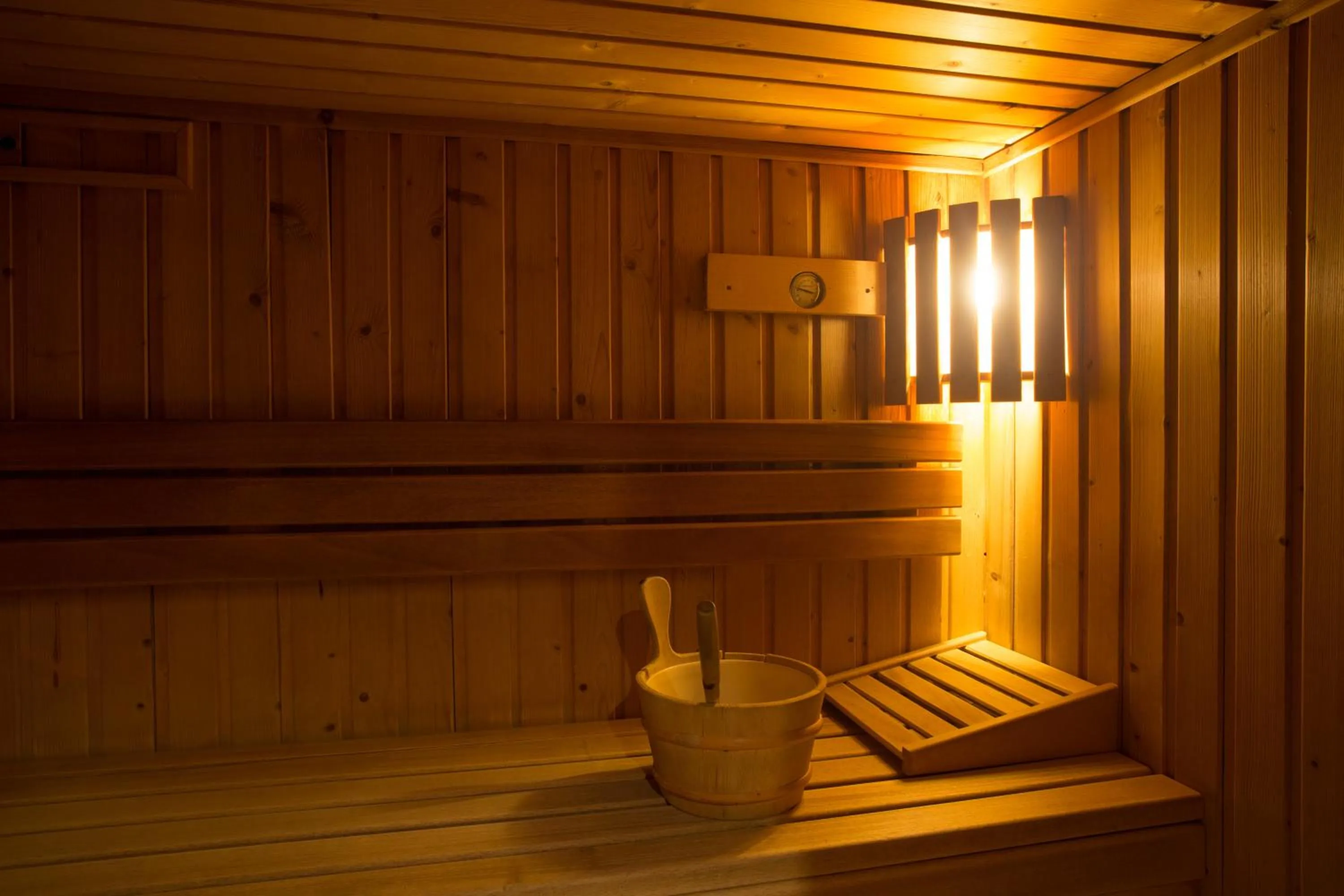 Sauna in Hôtel L'Echaillon