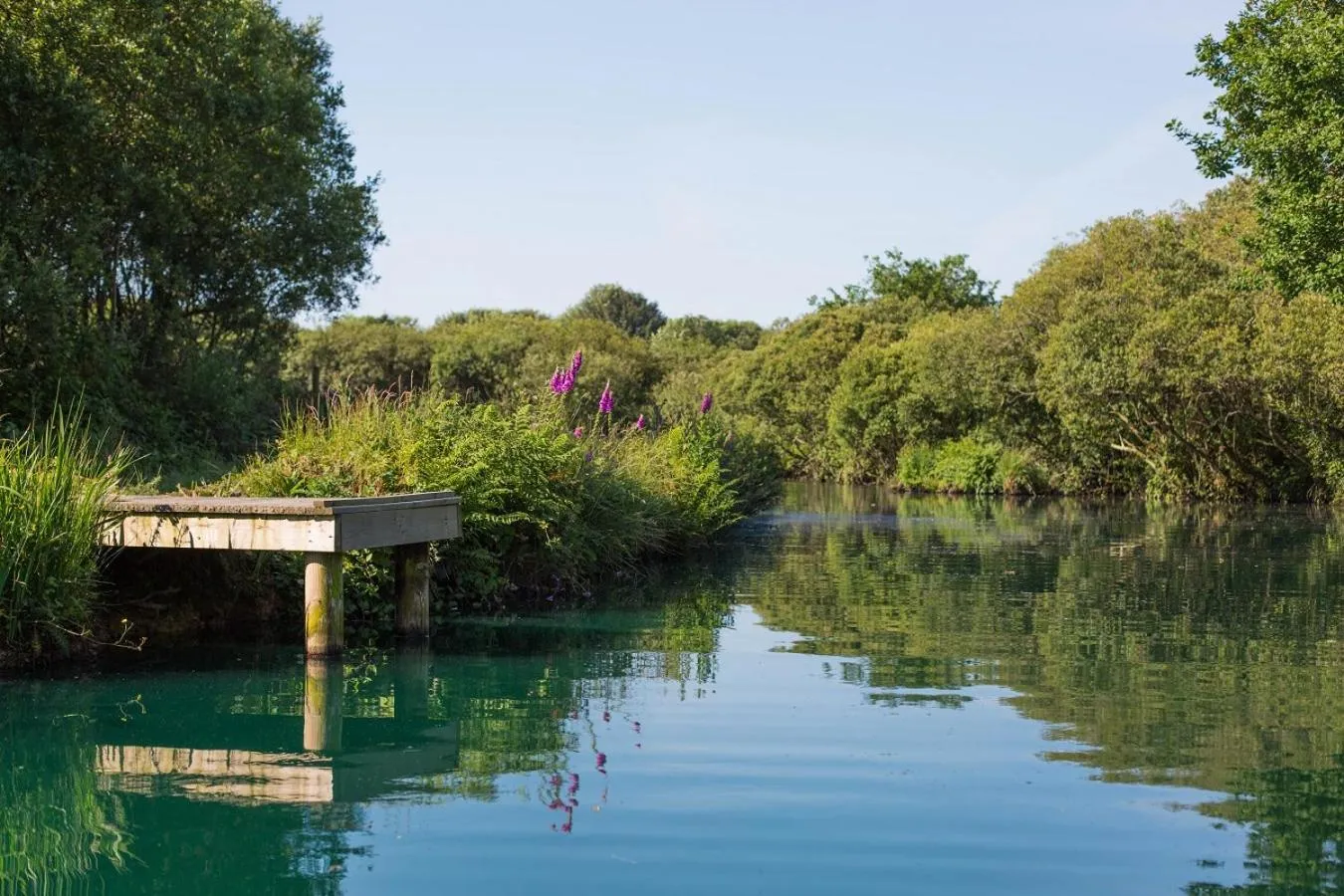 Lake view in Retallack Resort