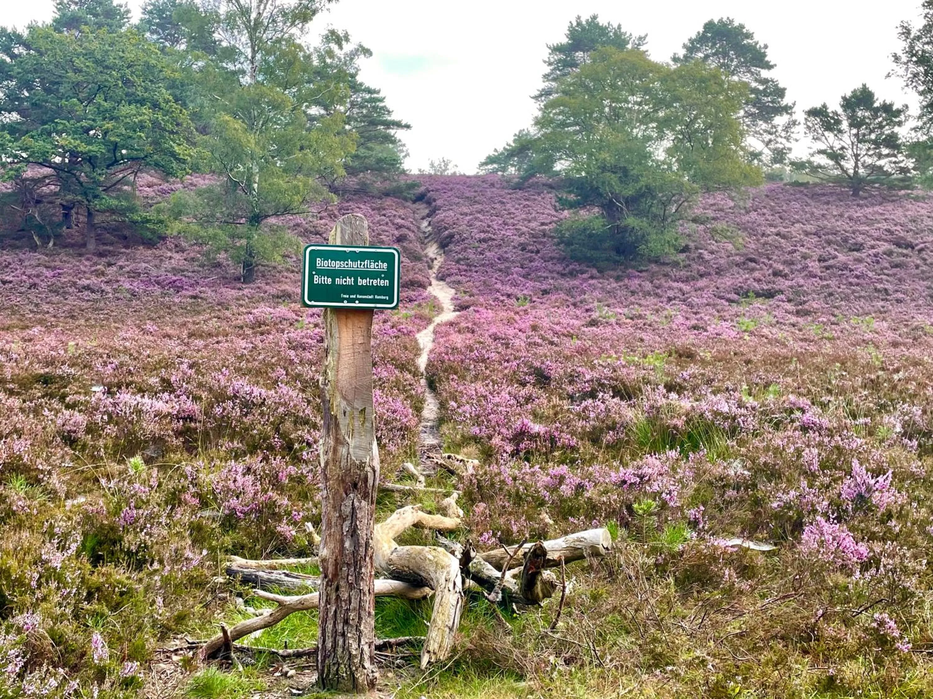 Hiking in Auszeit Hotel Hamburg
