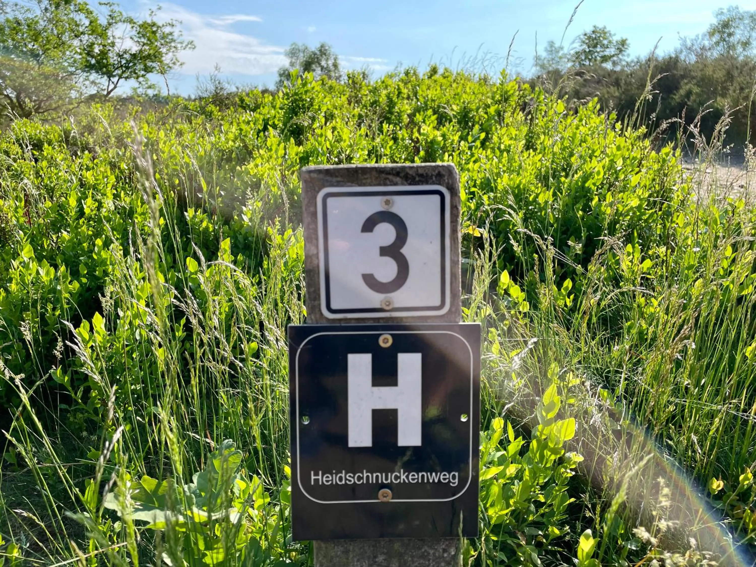 Hiking in Auszeit Hotel Hamburg