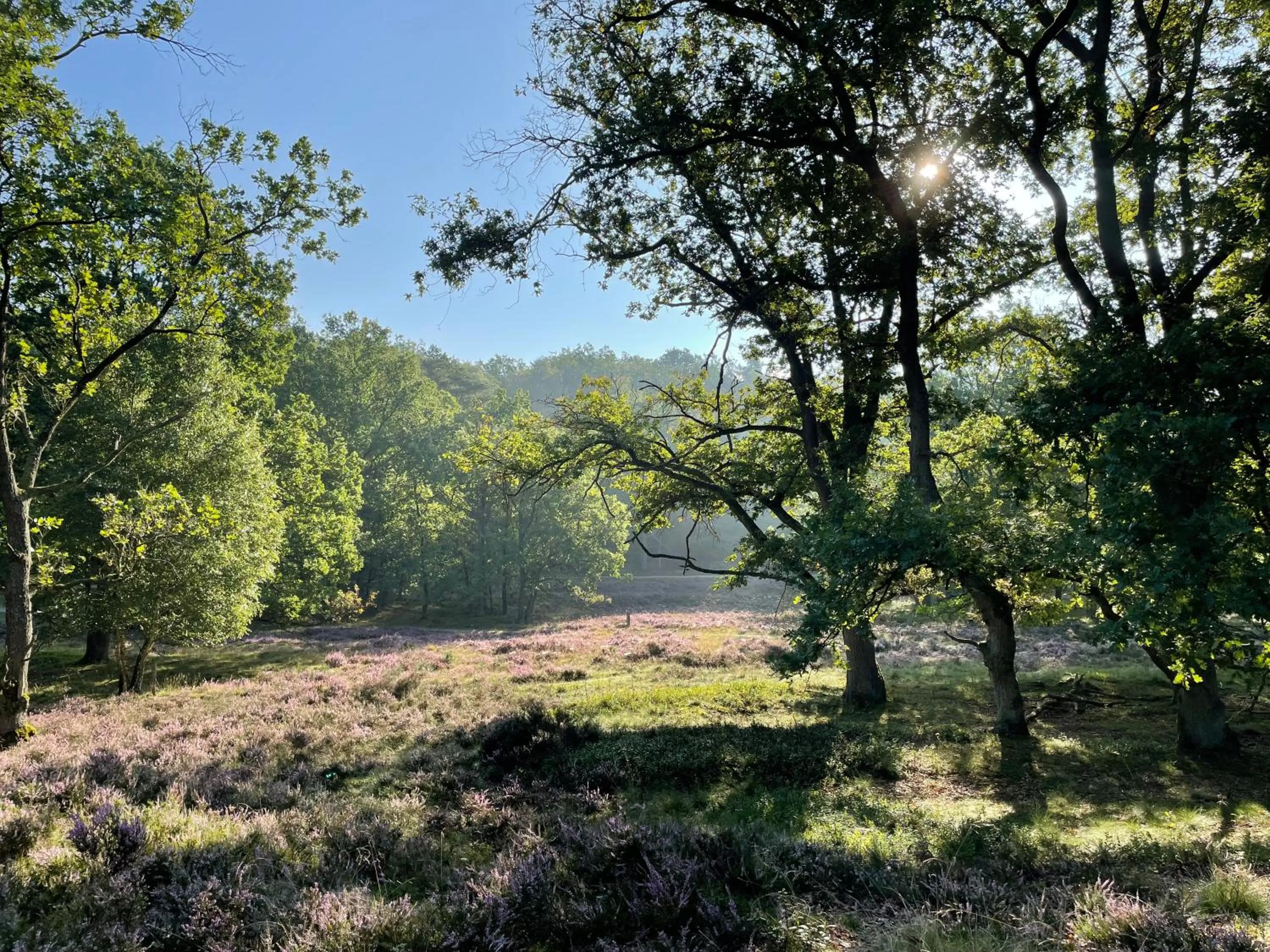 Hiking in Auszeit Hotel Hamburg