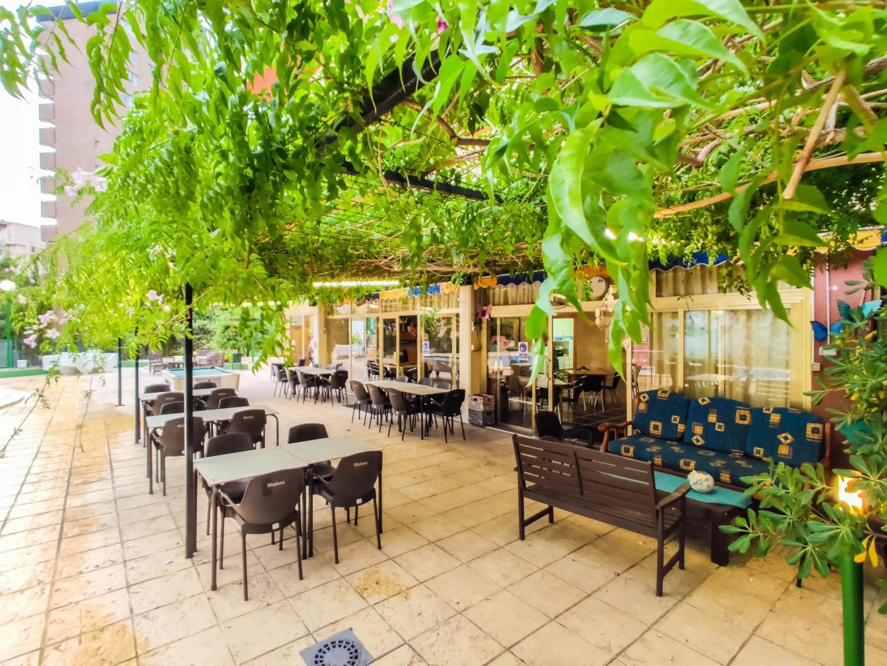 Patio in Picasso-Fincas Benidorm