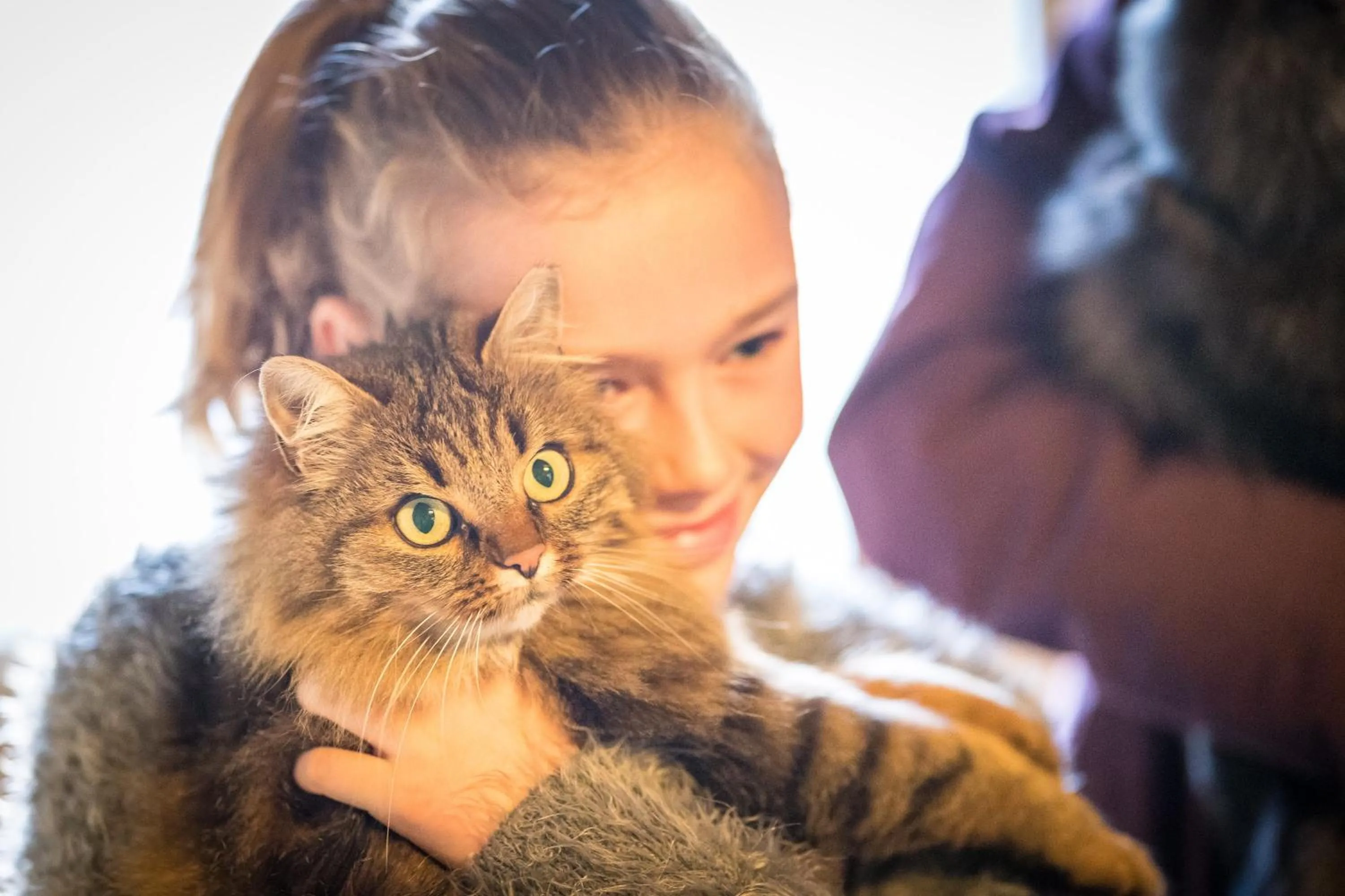 Pets in Reidenhof