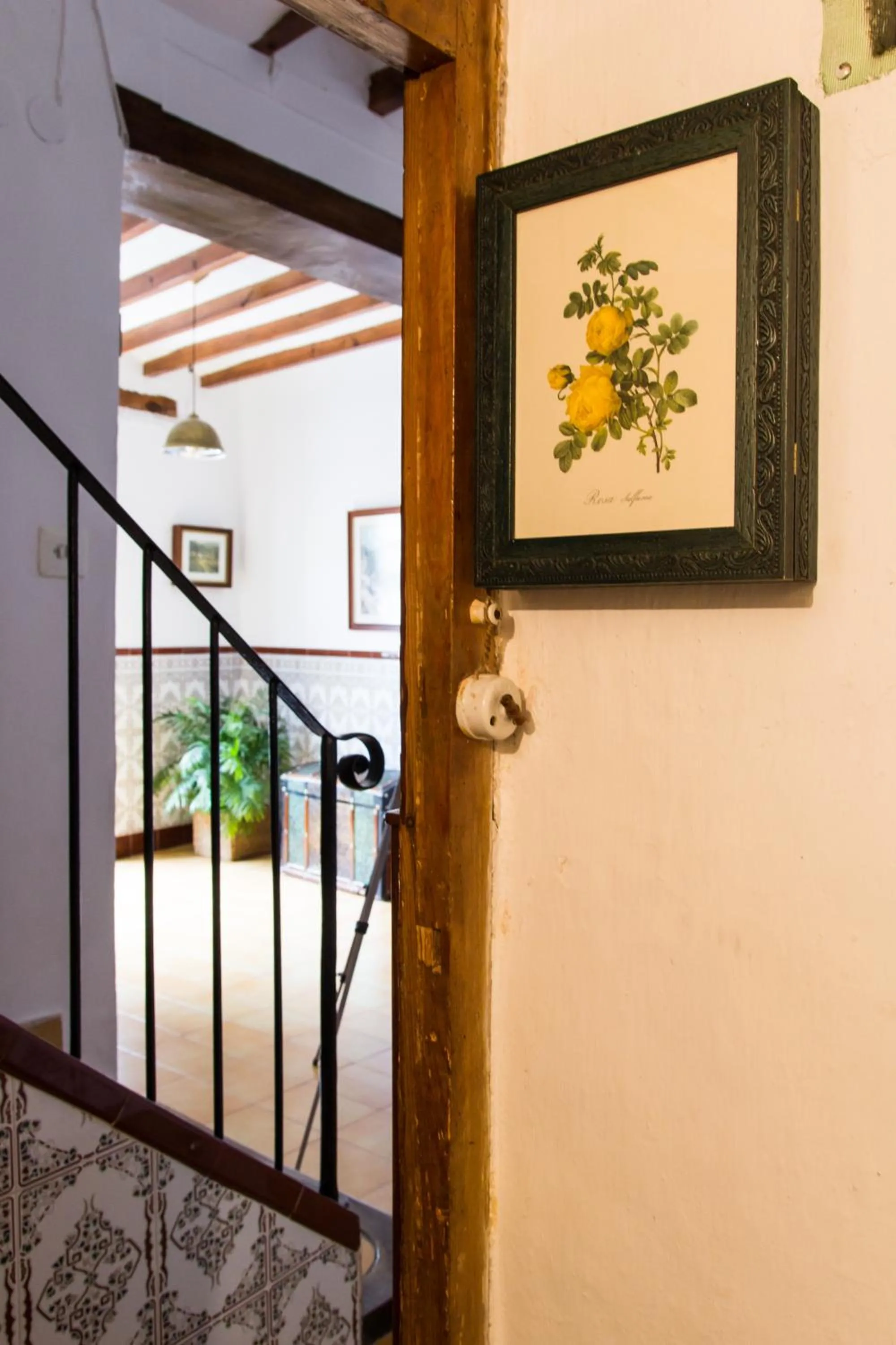 Property building in Casa Rosalía