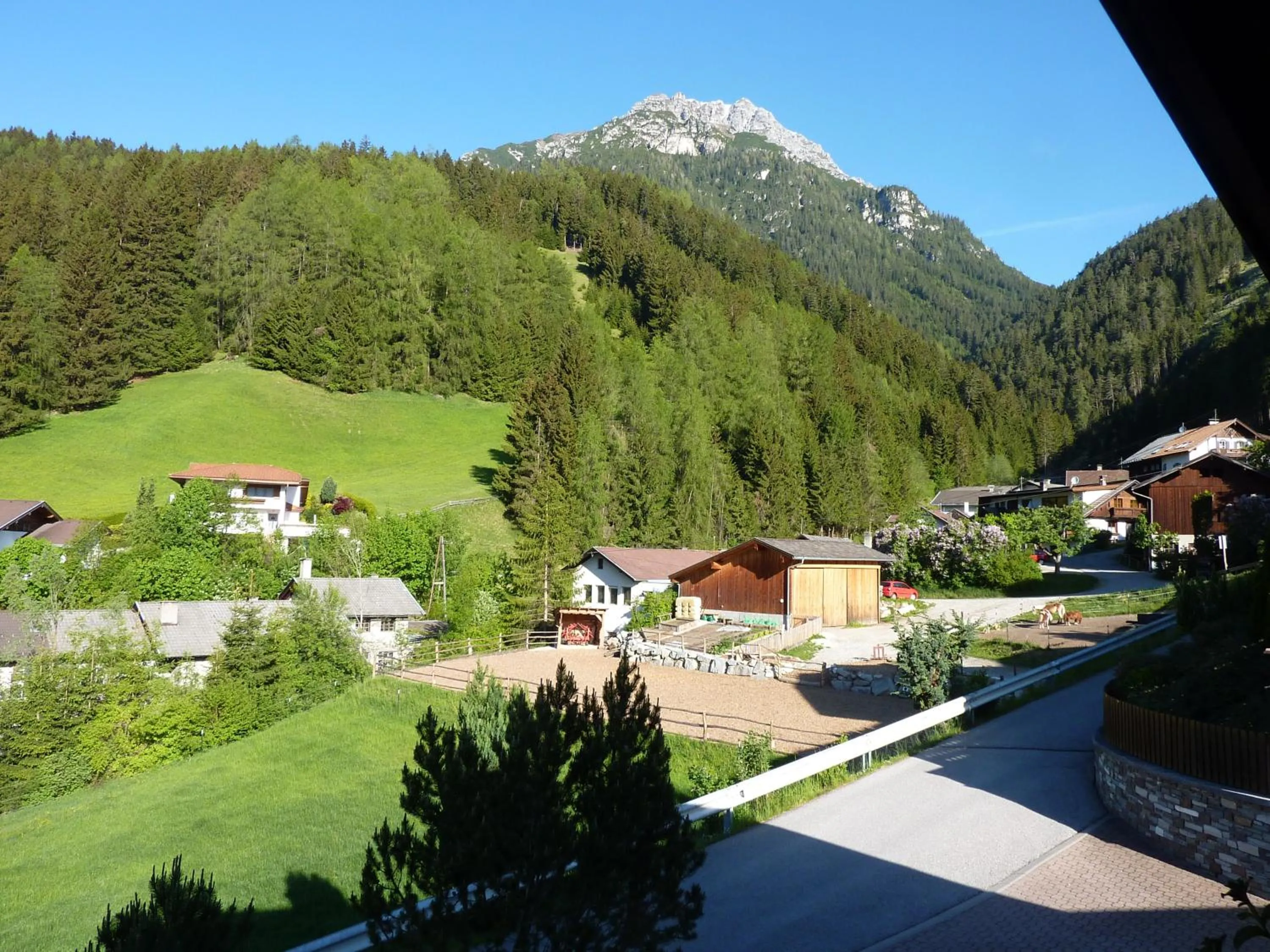Natural landscape in Haus Früh