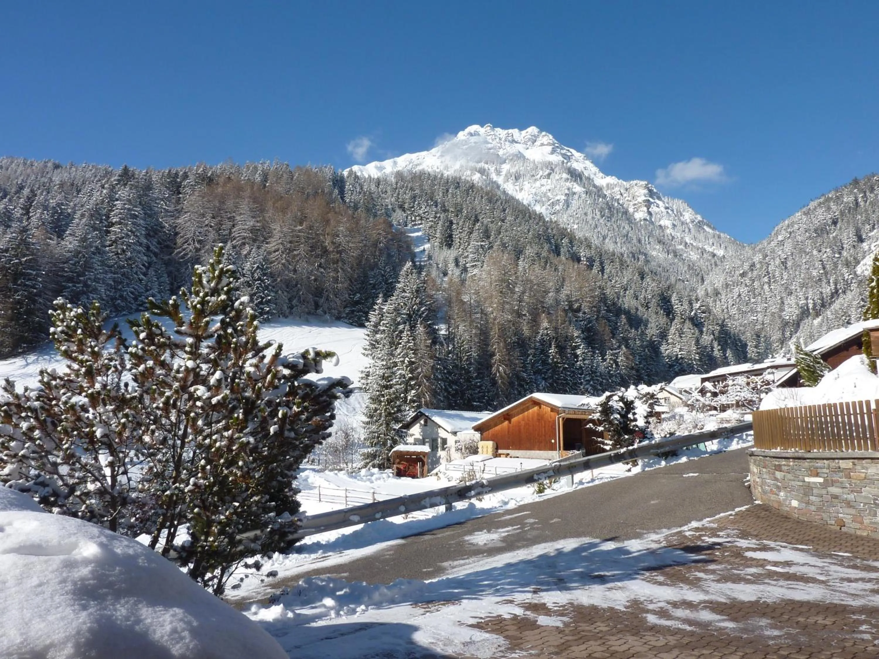 Natural landscape in Haus Früh