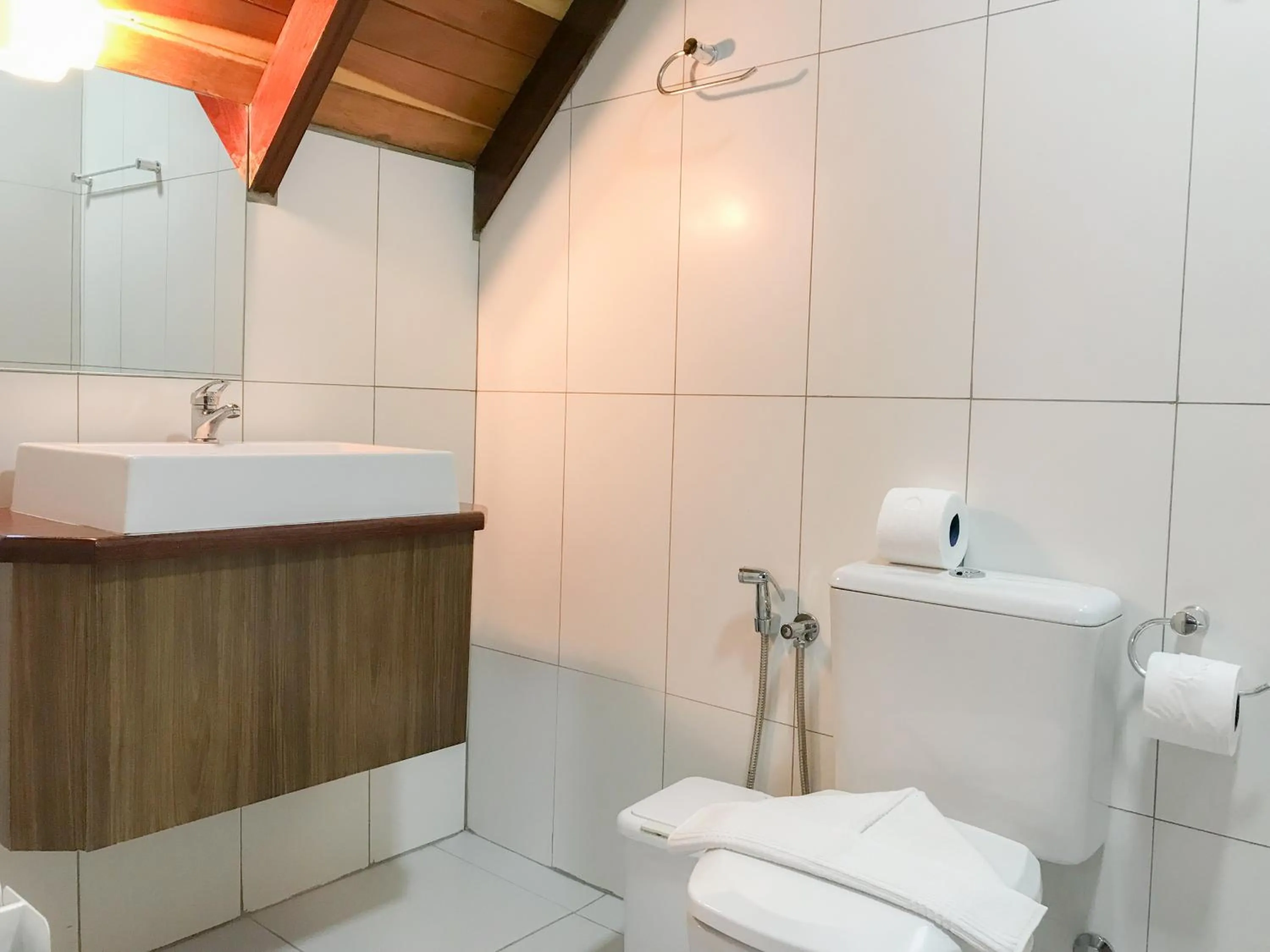 Bathroom in Hotel Triveneto Gramado