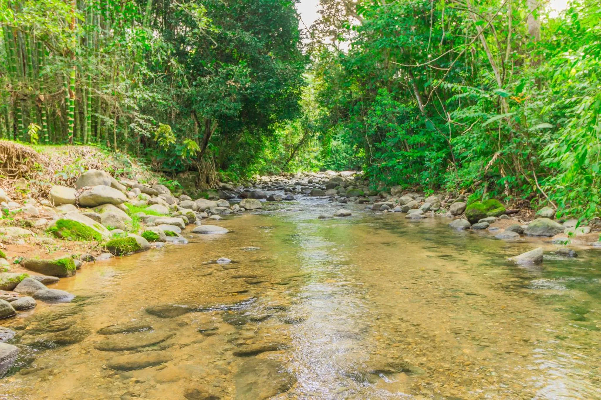 Natural landscape in Hotel El Mono Feliz