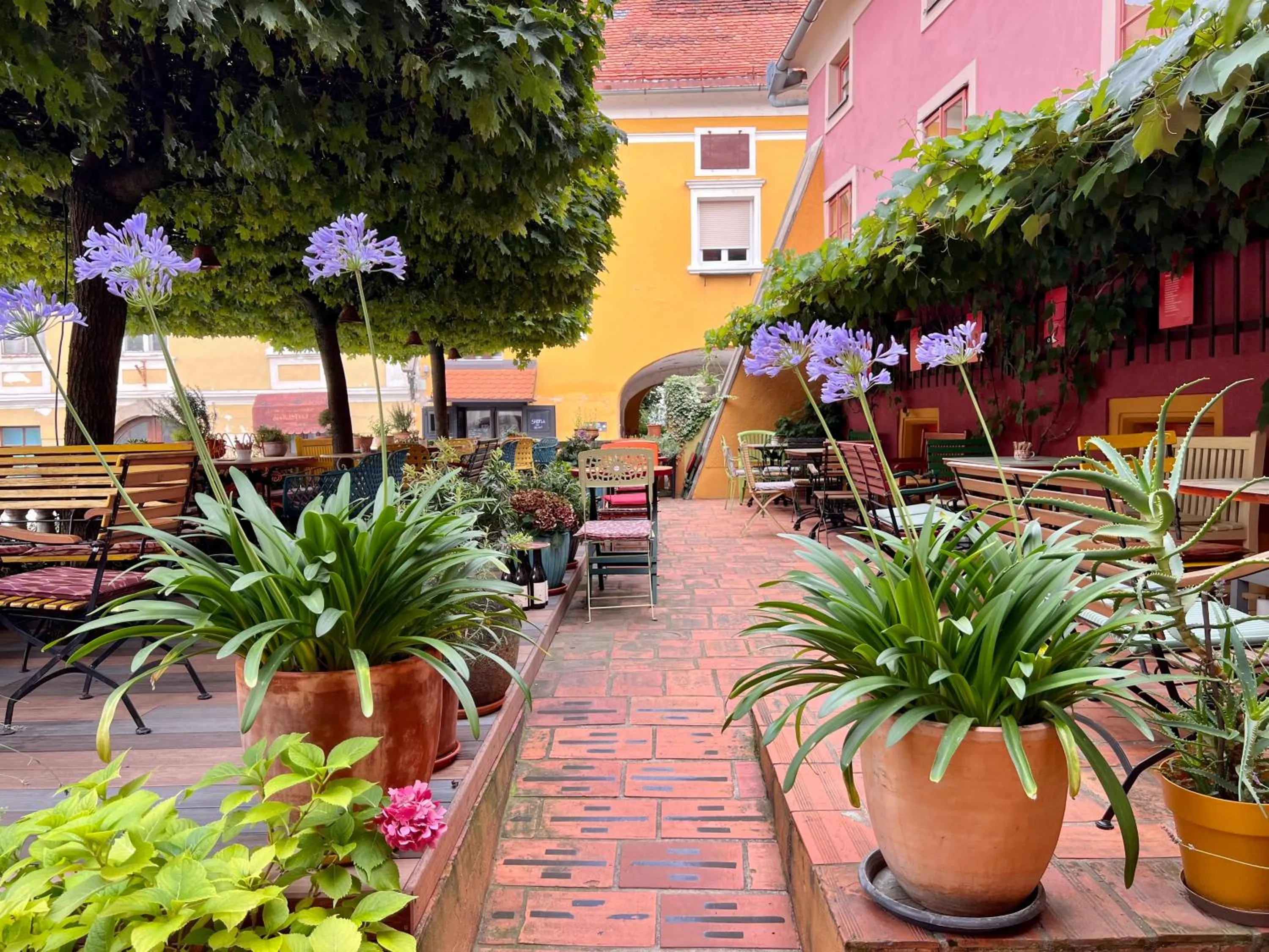 Patio in MuziKafe - Home of Culture