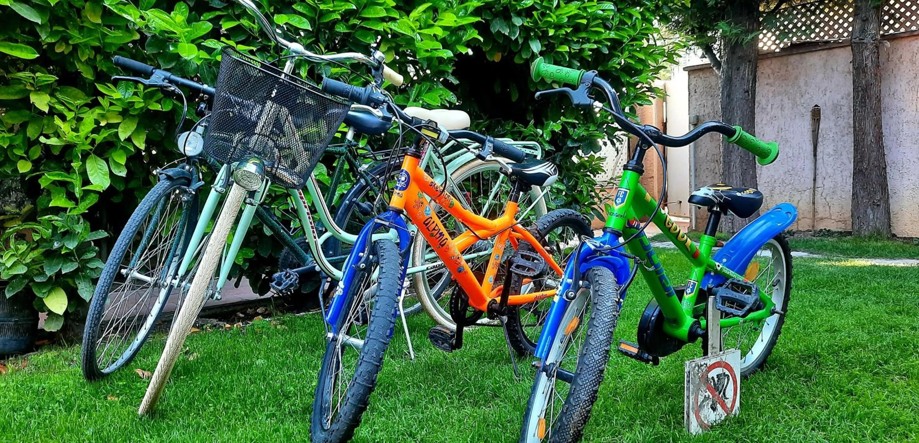 Activities in Aloha Apartments with pool