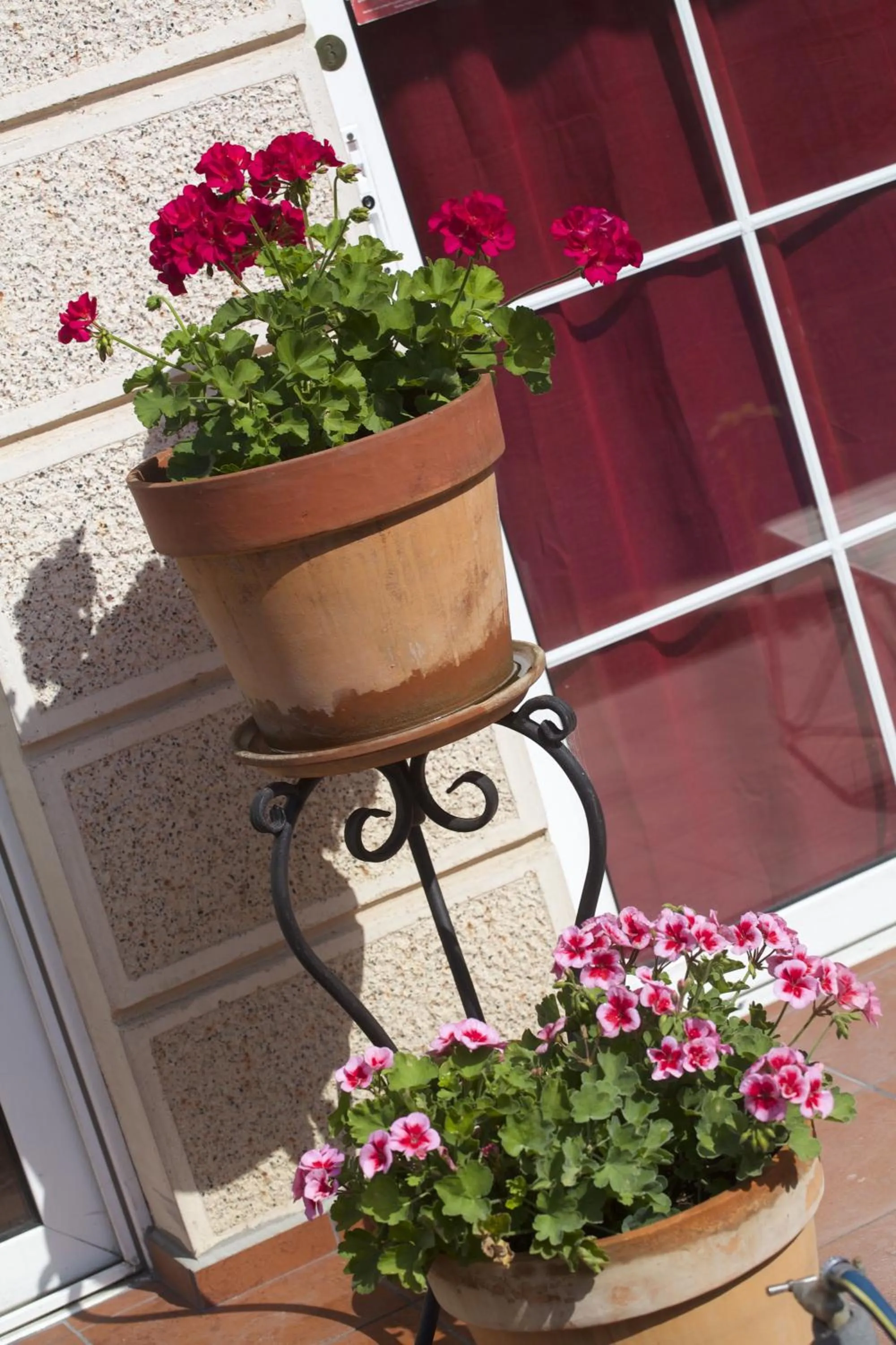 Garden in Aloha Apartments with pool