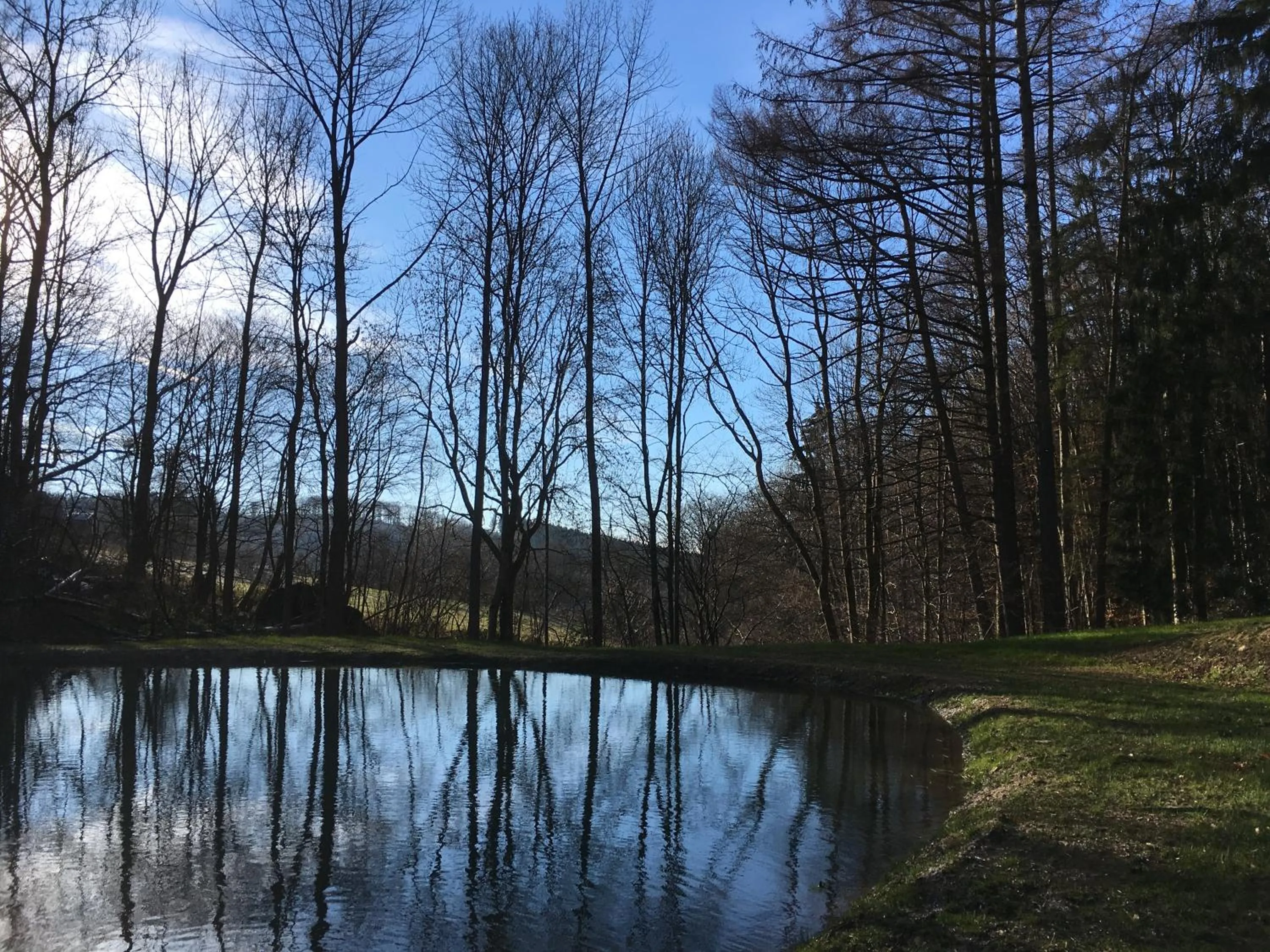 Garden in B&B Les Oiseaux de Passage