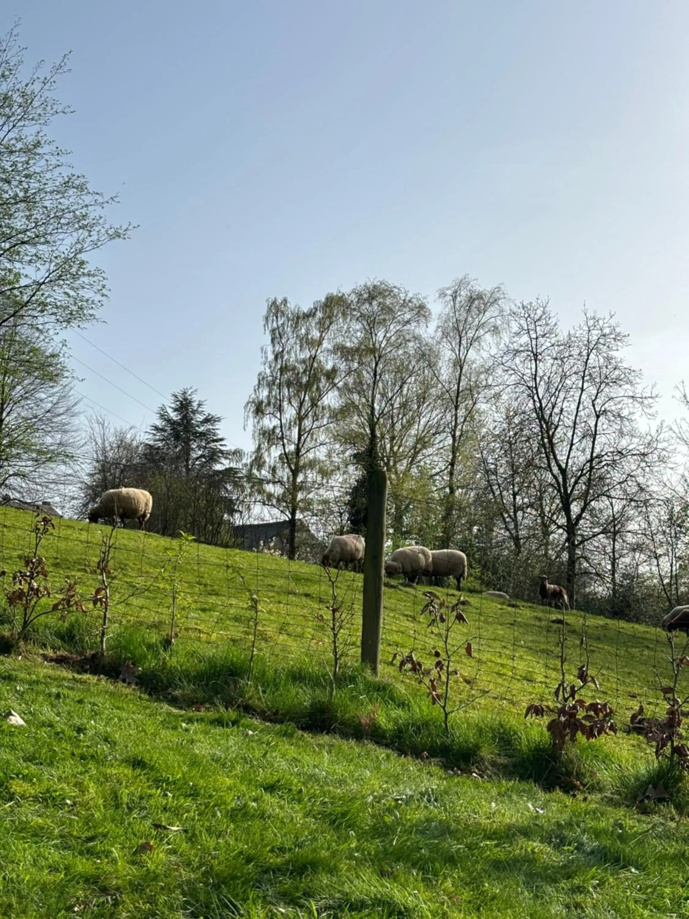 B&B Les Oiseaux de Passage