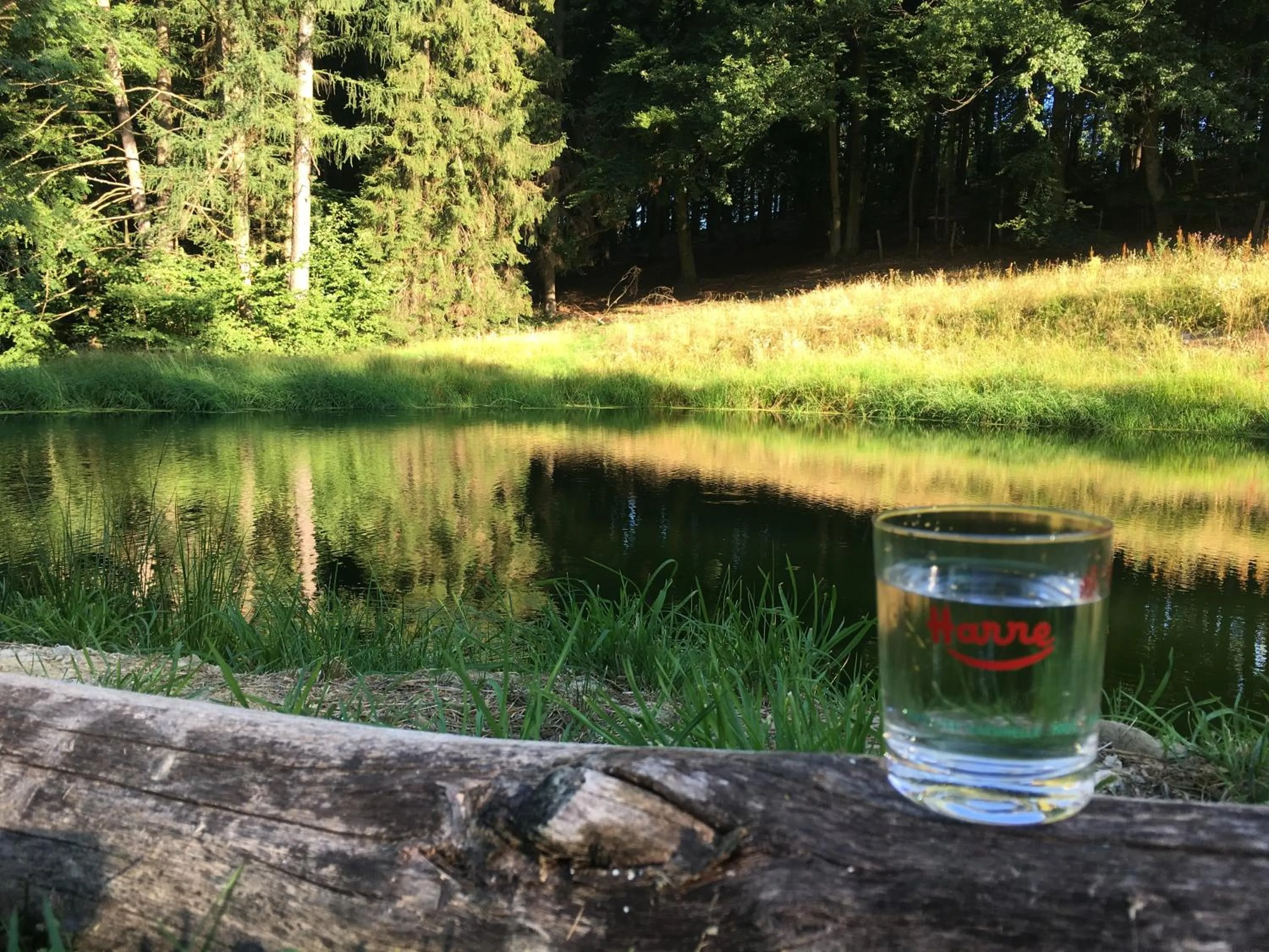 Garden in B&B Les Oiseaux de Passage