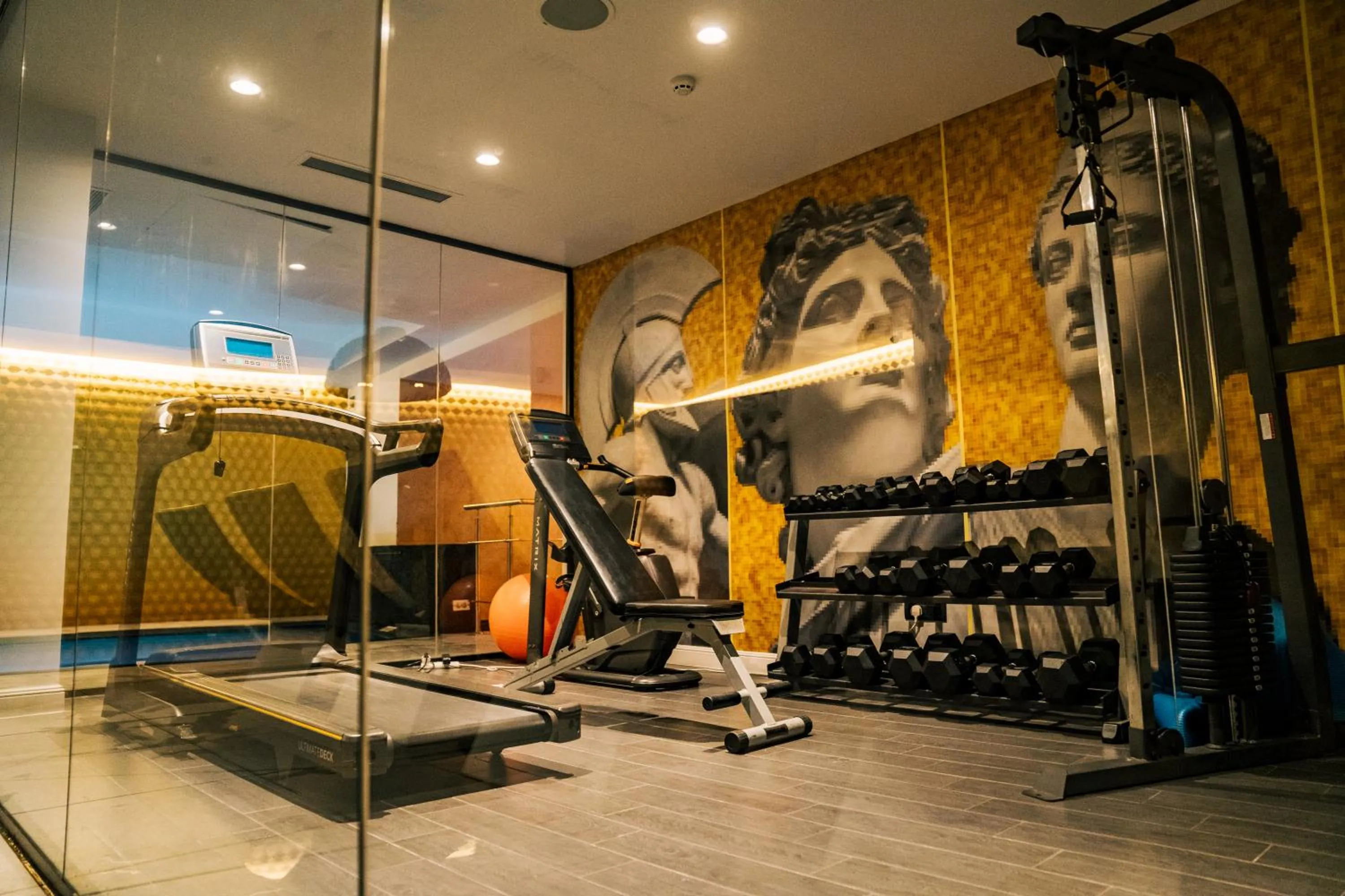Fitness centre/facilities in HOLM Boutique & SPA - IK Collection