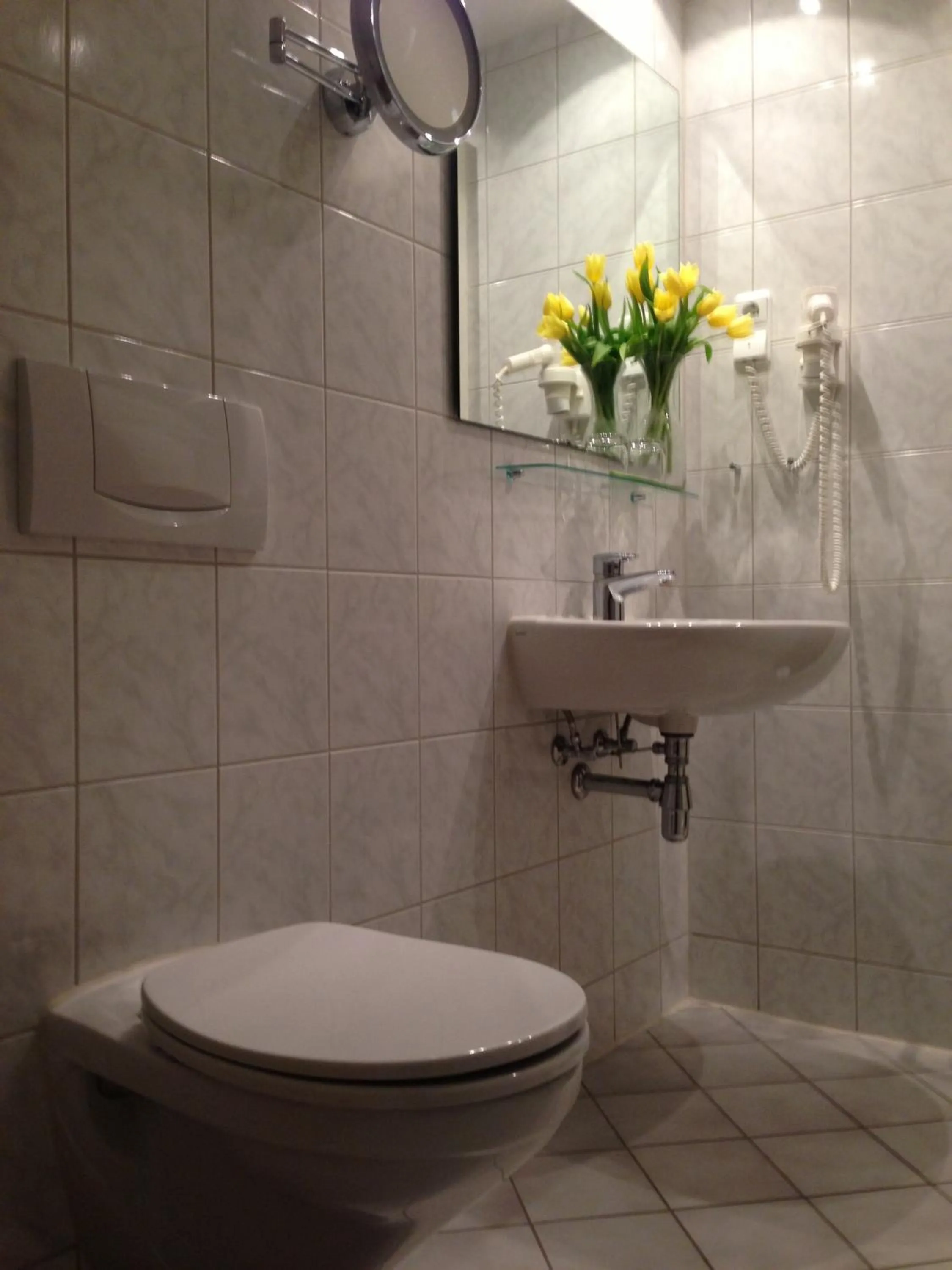 Toilet in Landhaus Lockwitzgrund