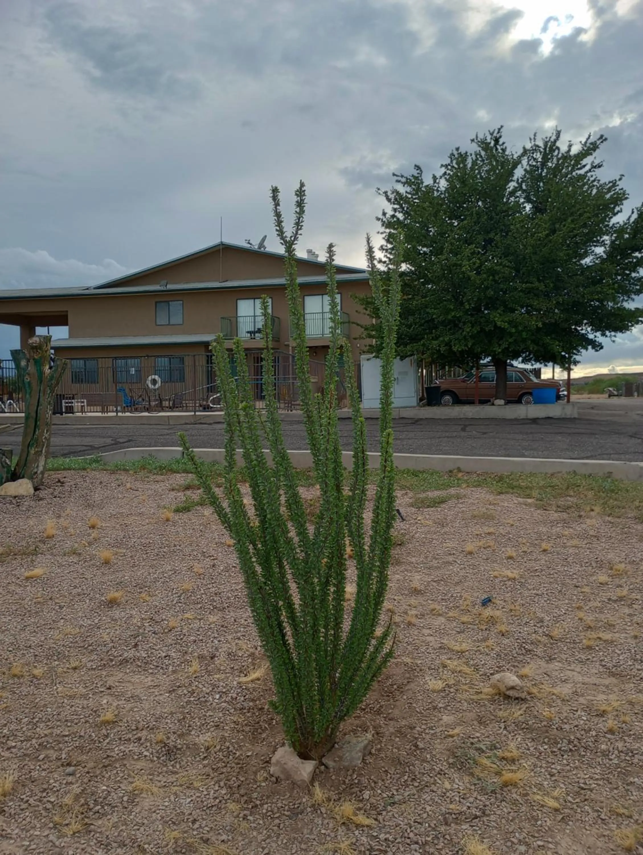 View (from property/room) in COPPER STAY INN Benson AZ I-10 Exit 304