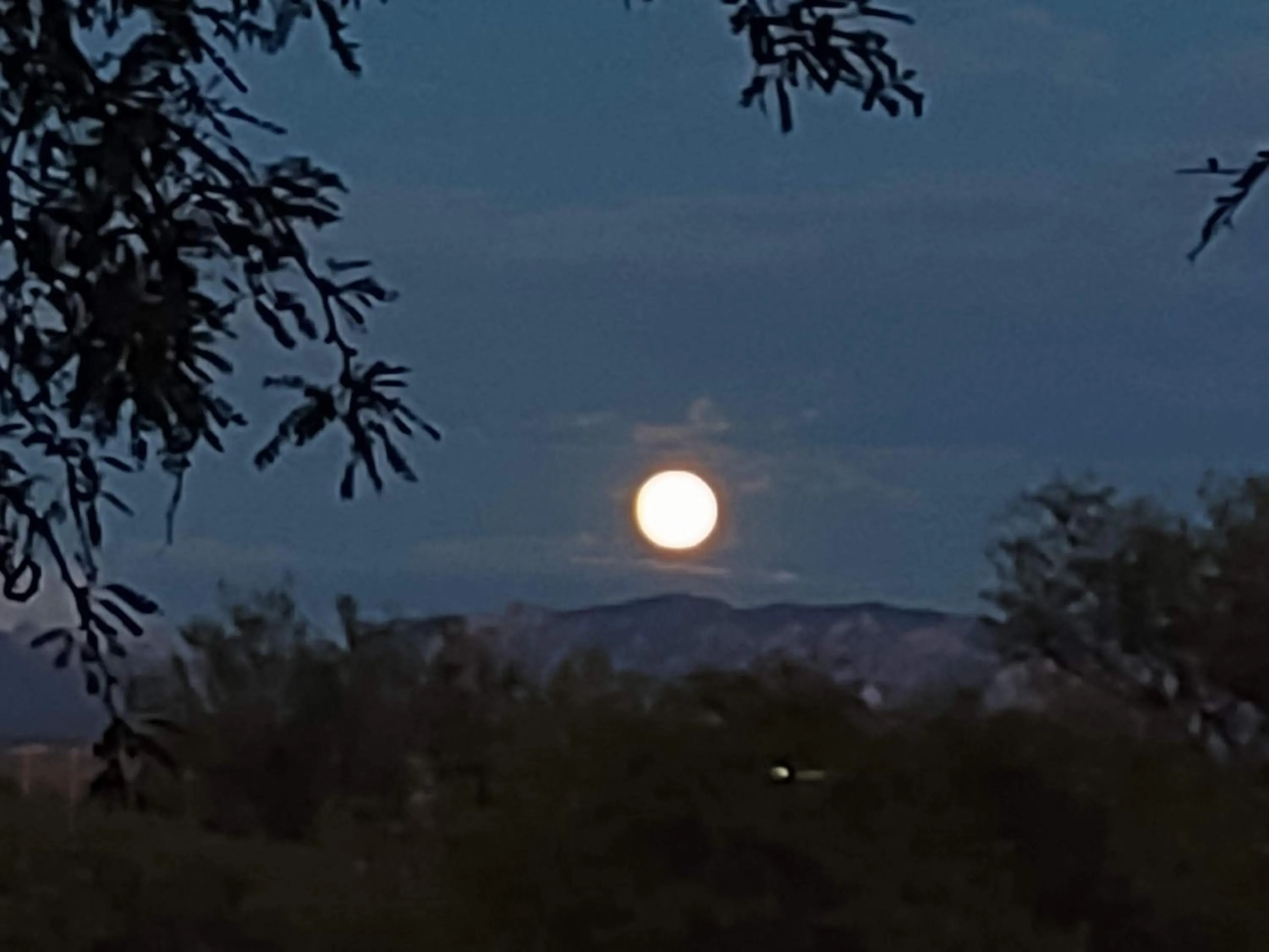 View (from property/room) in COPPER STAY INN Benson AZ I-10 Exit 304