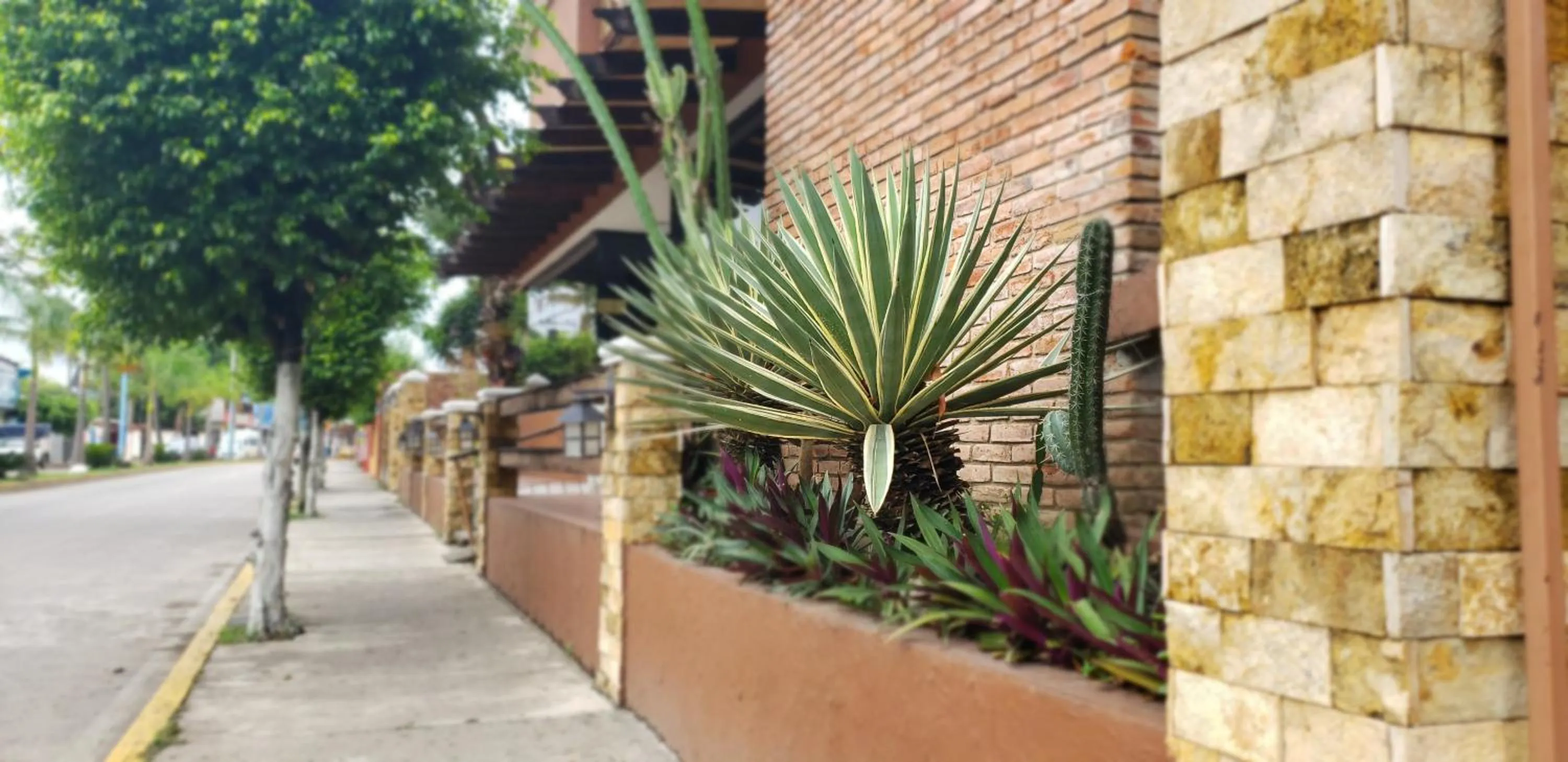 Street view in Hotel El Rancho