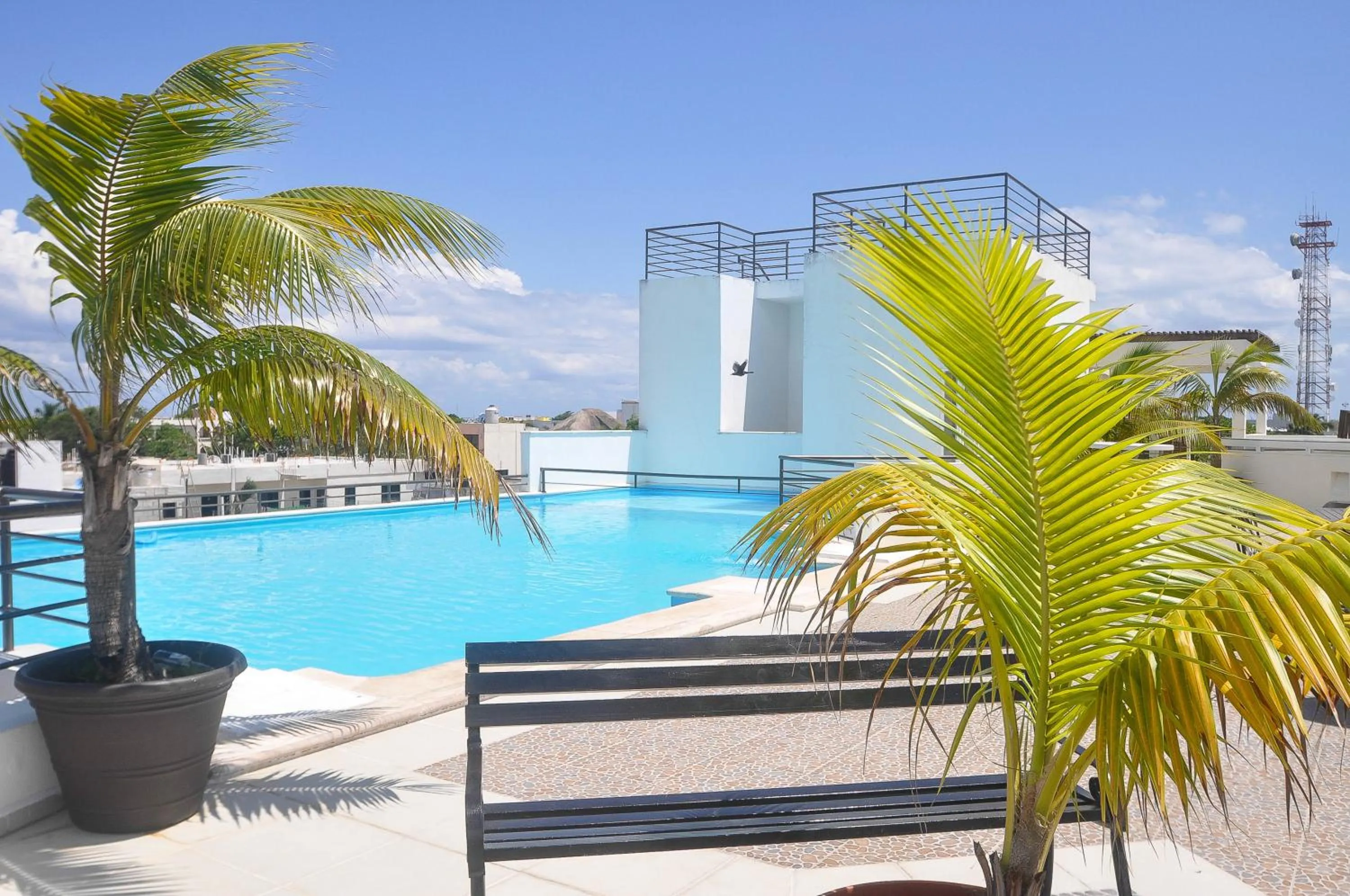 City view in Phenomenal Location Near Beach & 5th with Stunning Roof Pool