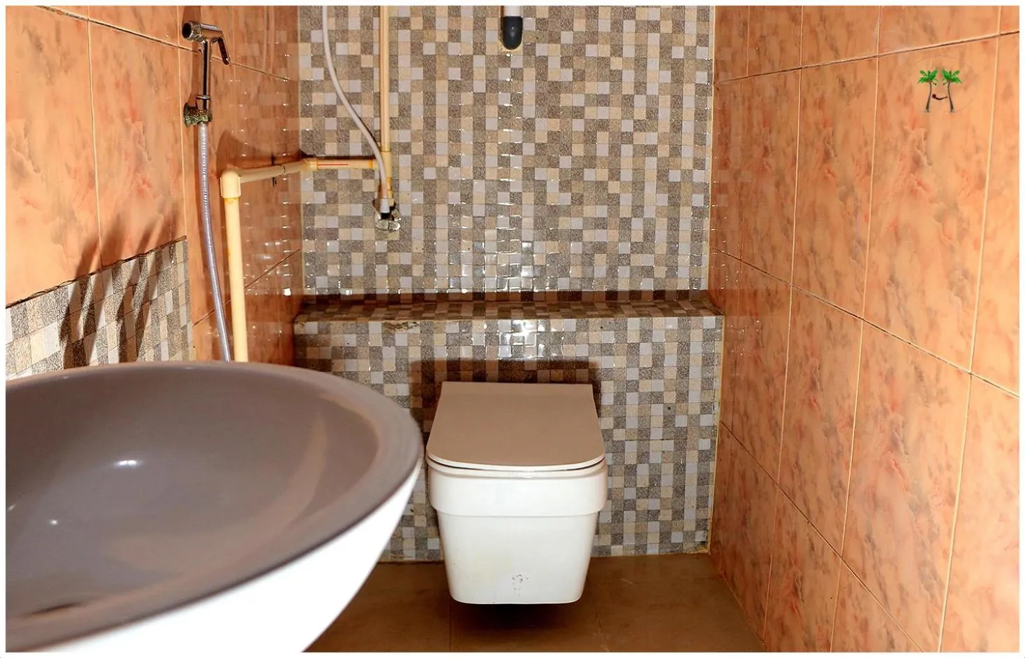 Toilet in Peace Residency