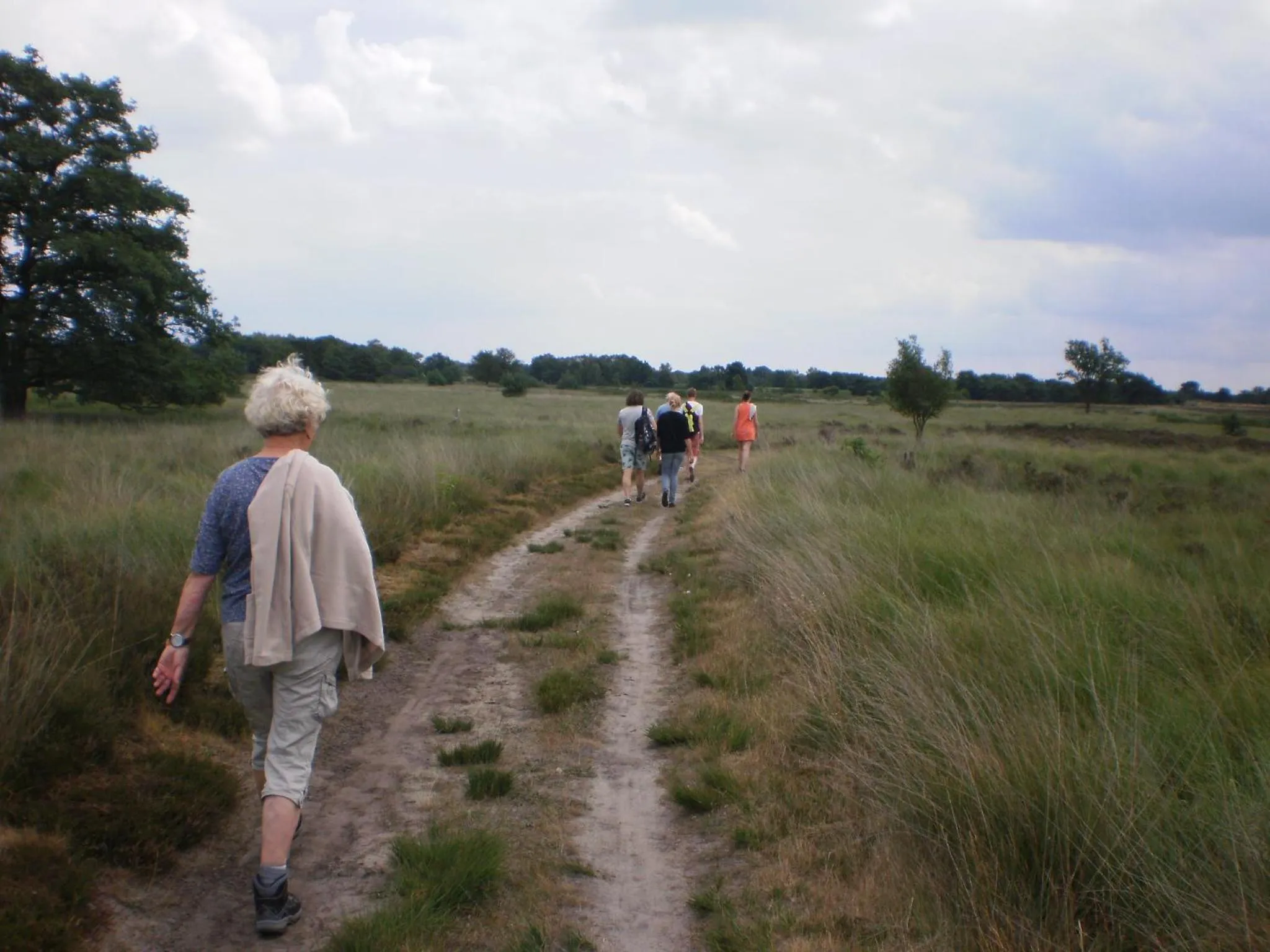 boerderijkamer Korenbloem