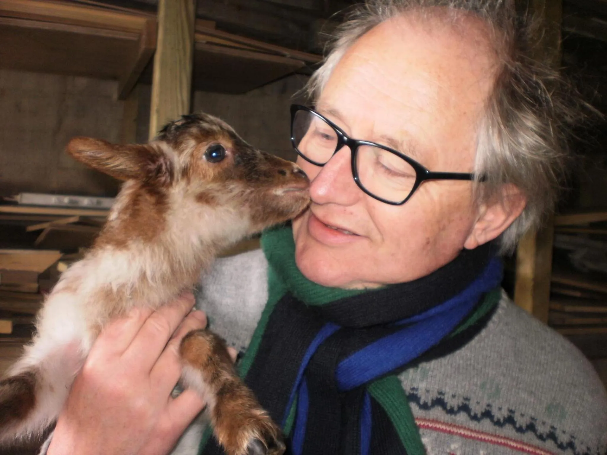 boerderijkamer Korenbloem