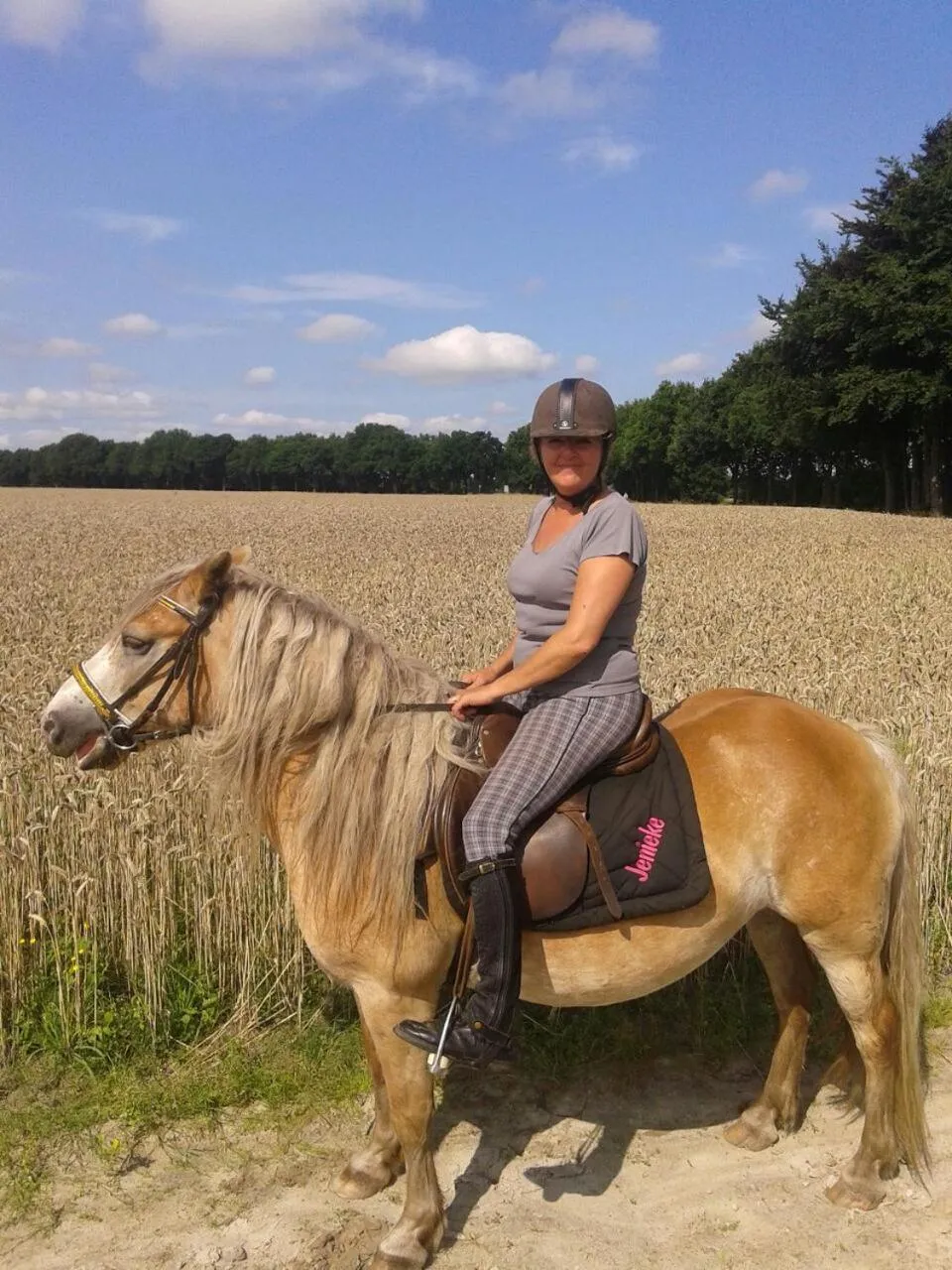 Property building in boerderijkamer Korenbloem
