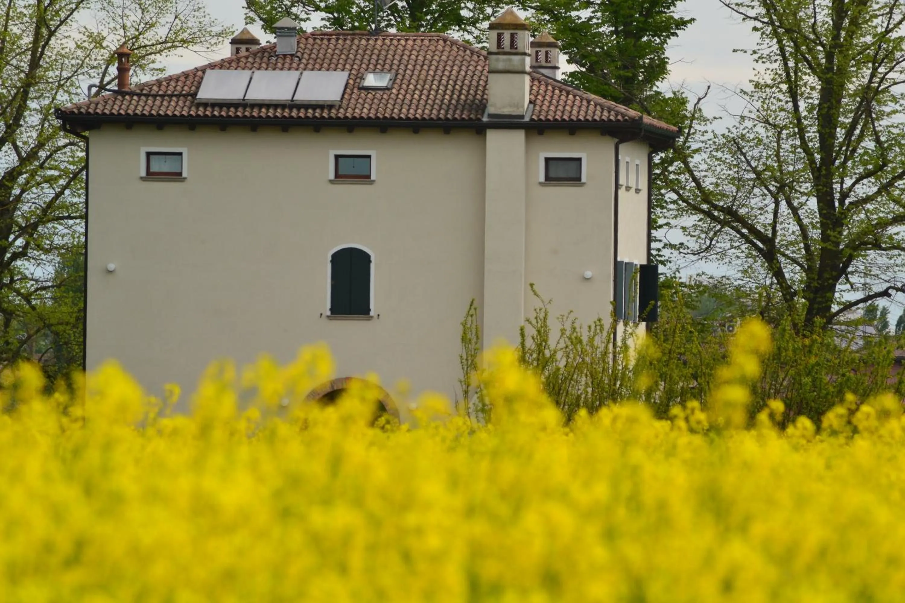 Property building in Monteborre