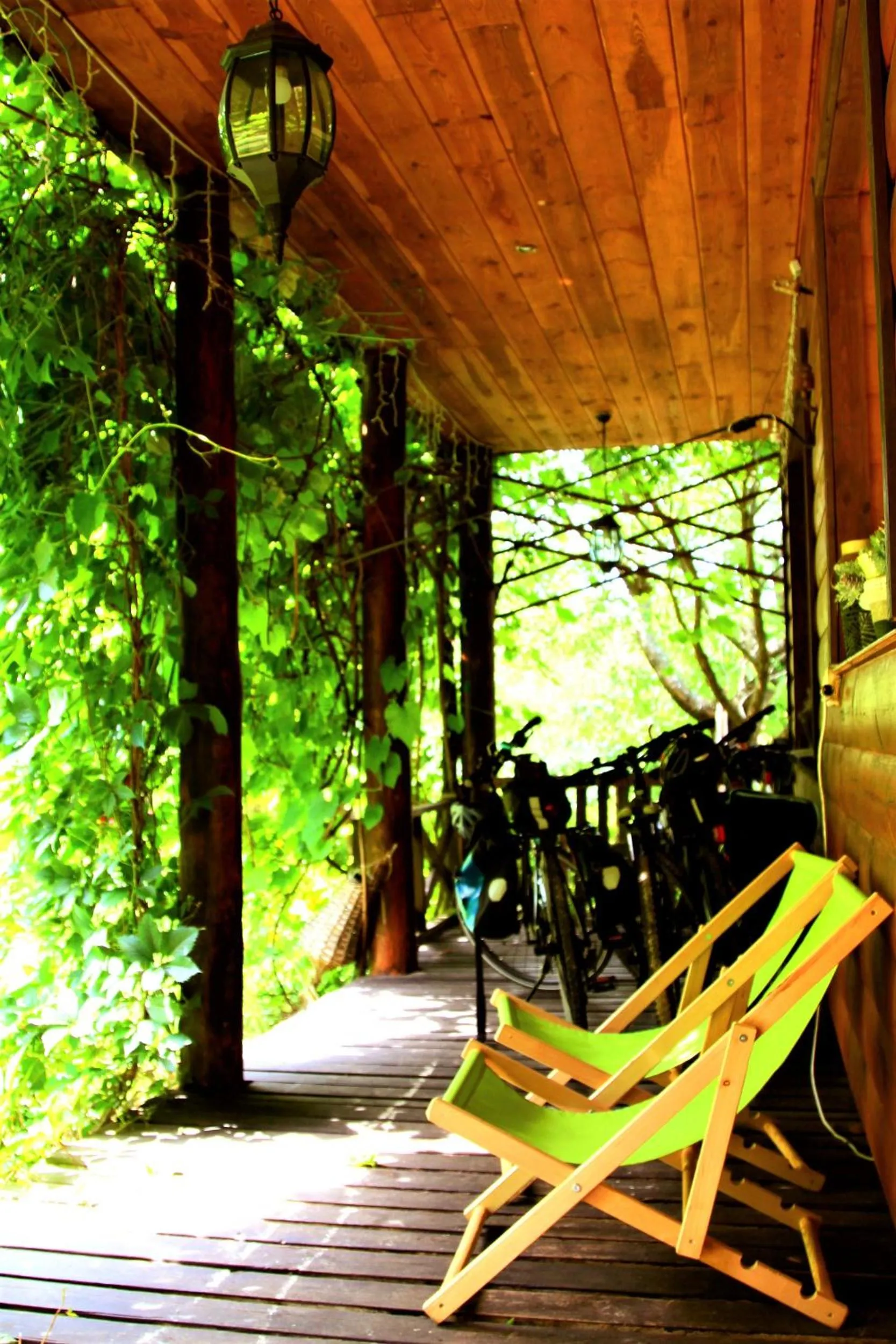 Garden in Białowieska Leśniczówka "U Jasia i Małgosi"