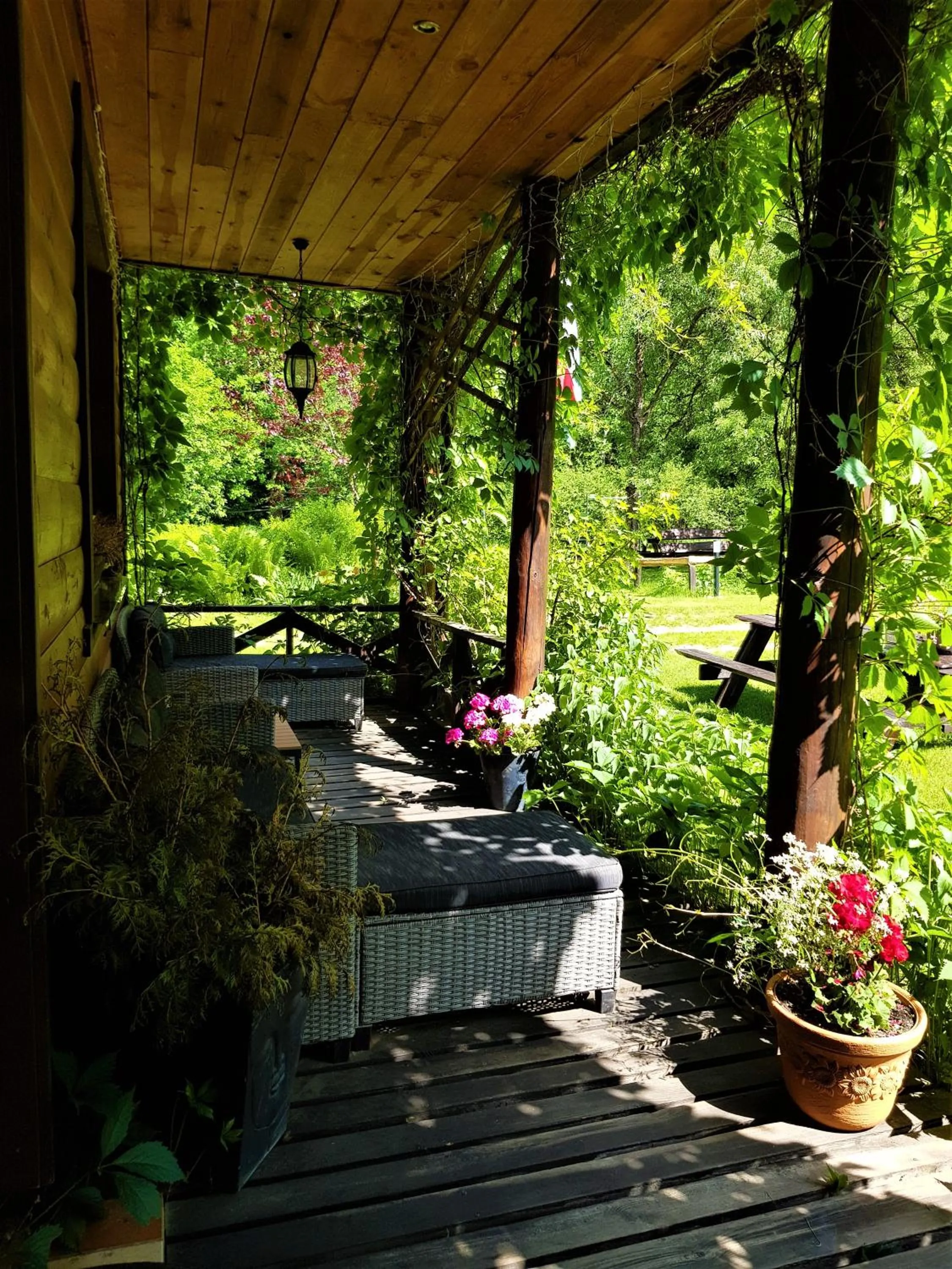 Natural landscape in Białowieska Leśniczówka "U Jasia i Małgosi"