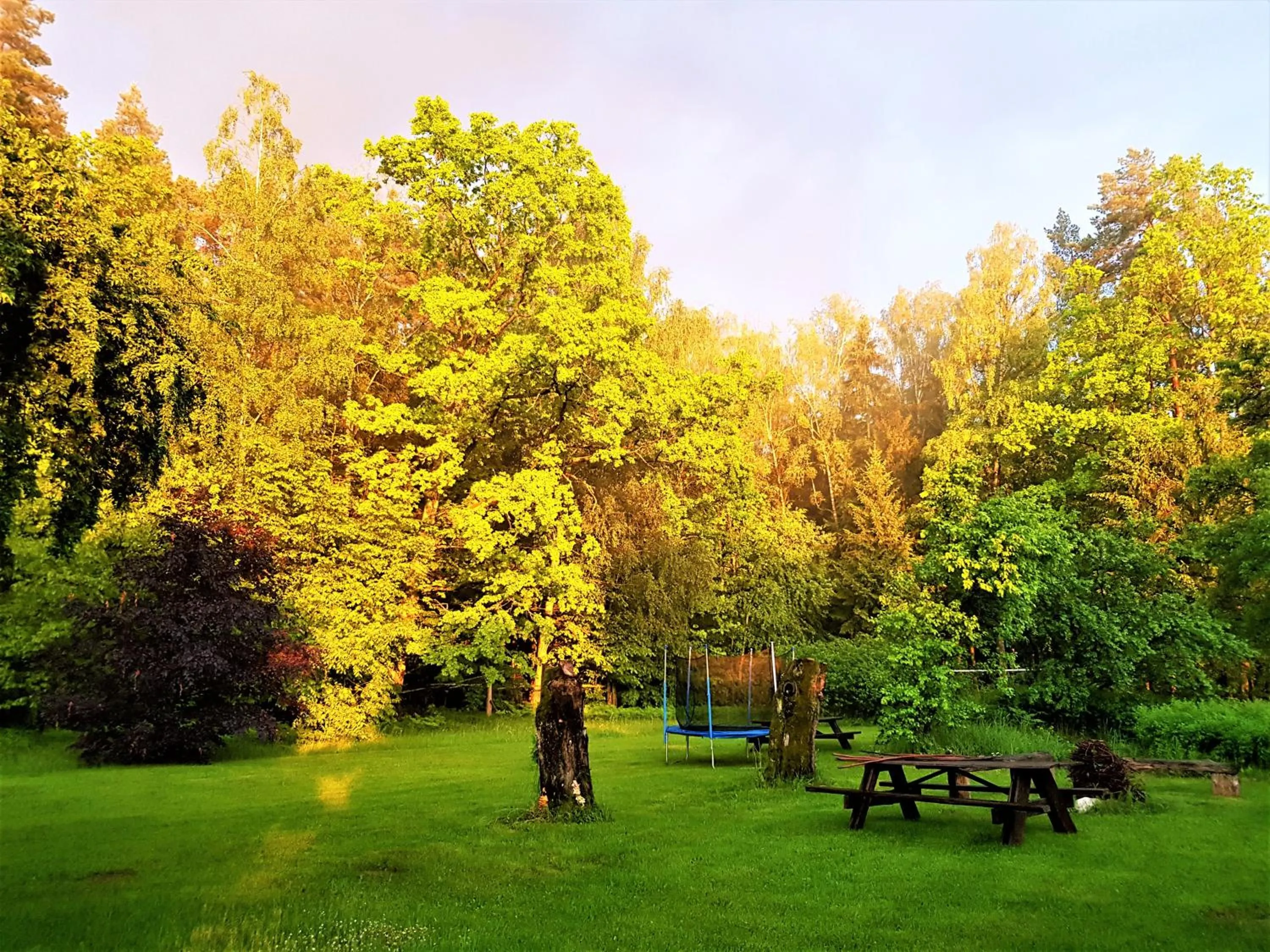 Garden view in Białowieska Leśniczówka "U Jasia i Małgosi"