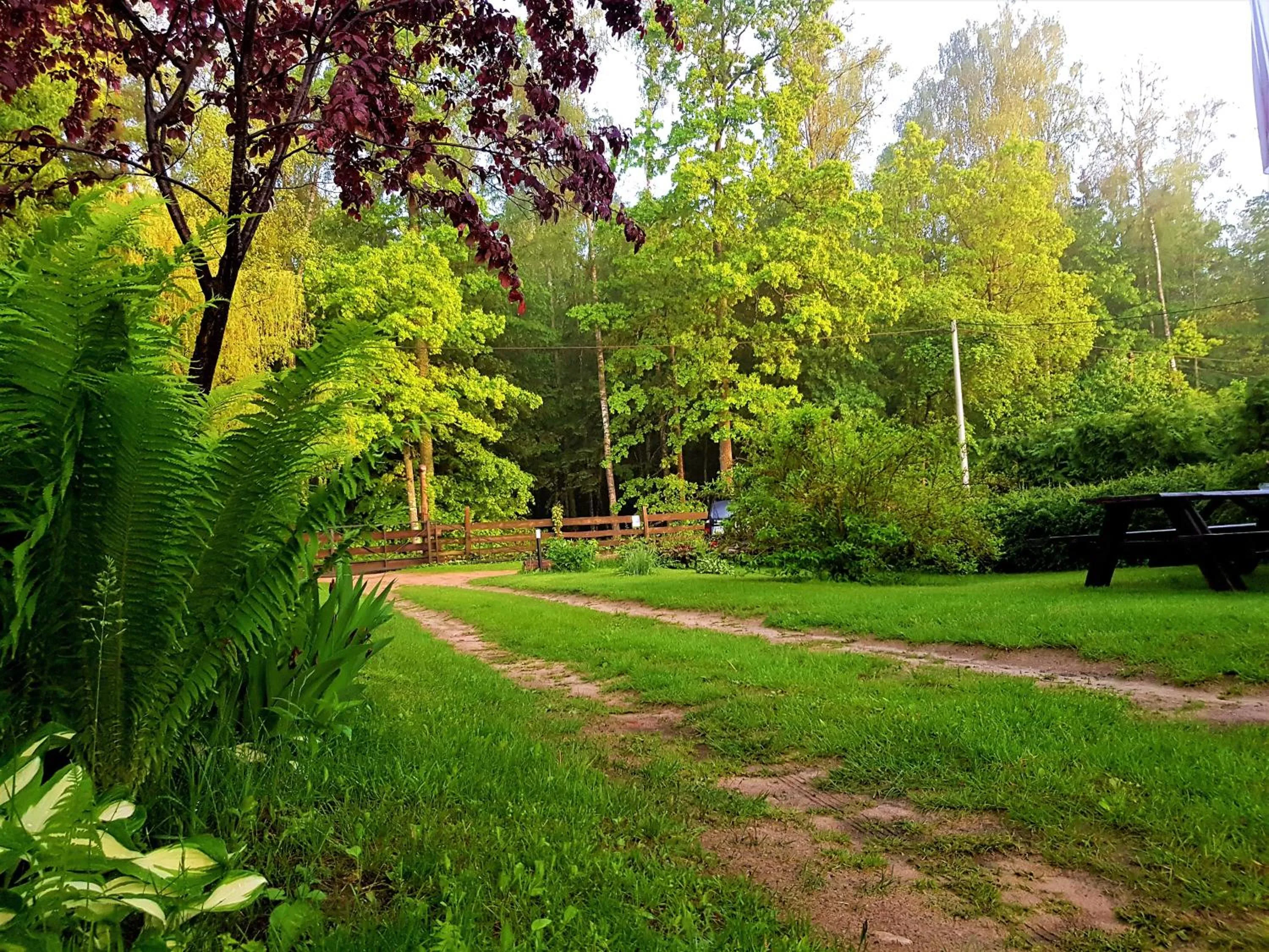 Garden view in Białowieska Leśniczówka "U Jasia i Małgosi"