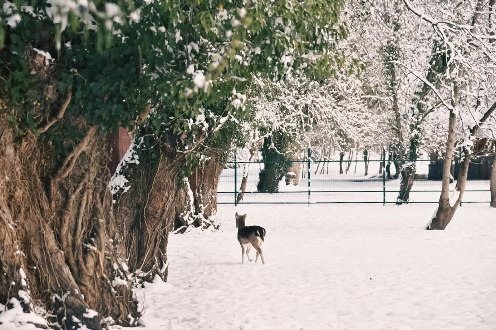 Area and facilities in Lopota Lake Resort & Spa