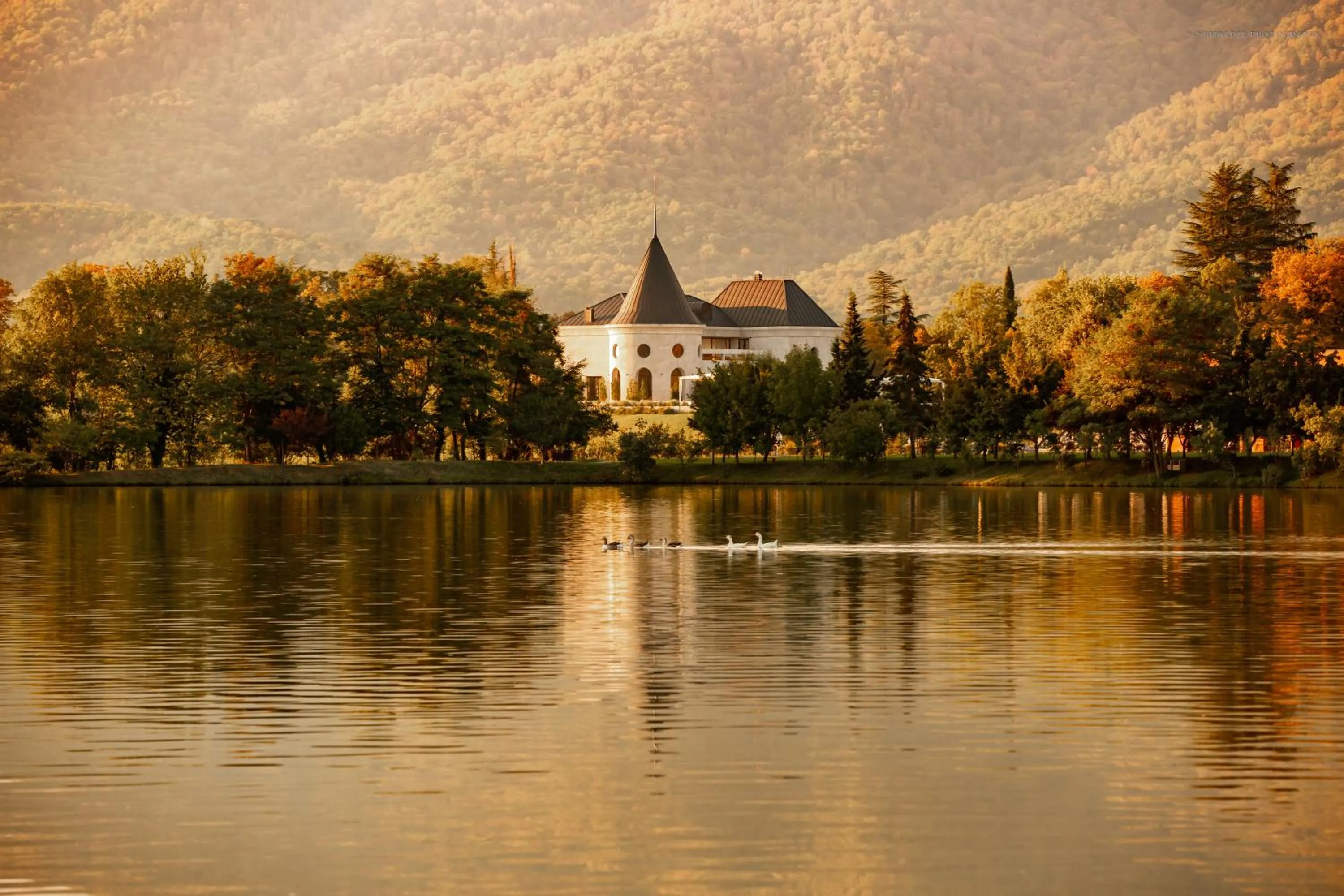 Property building in Lopota Lake Resort & Spa