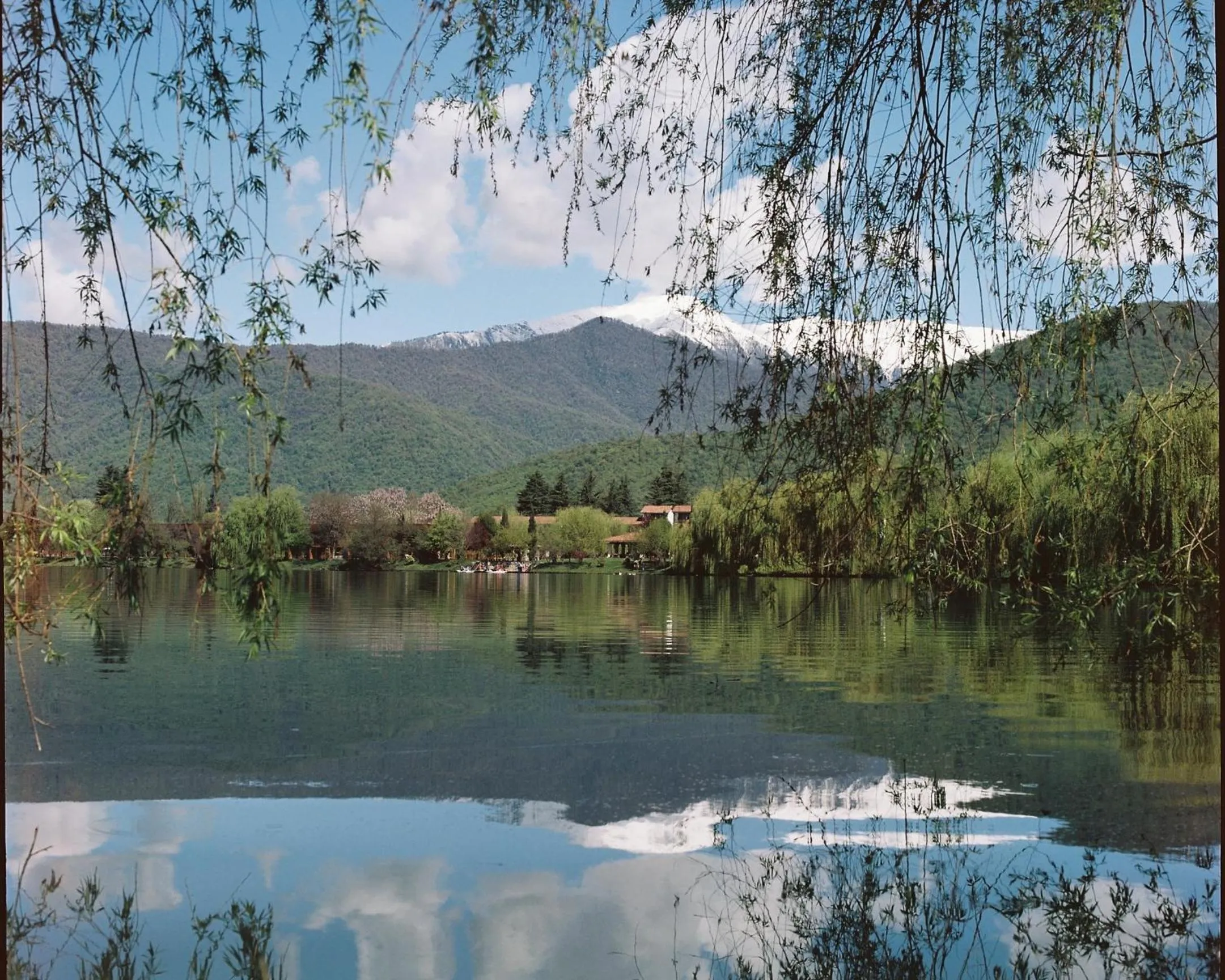 View (from property/room) in Lopota Lake Resort & Spa