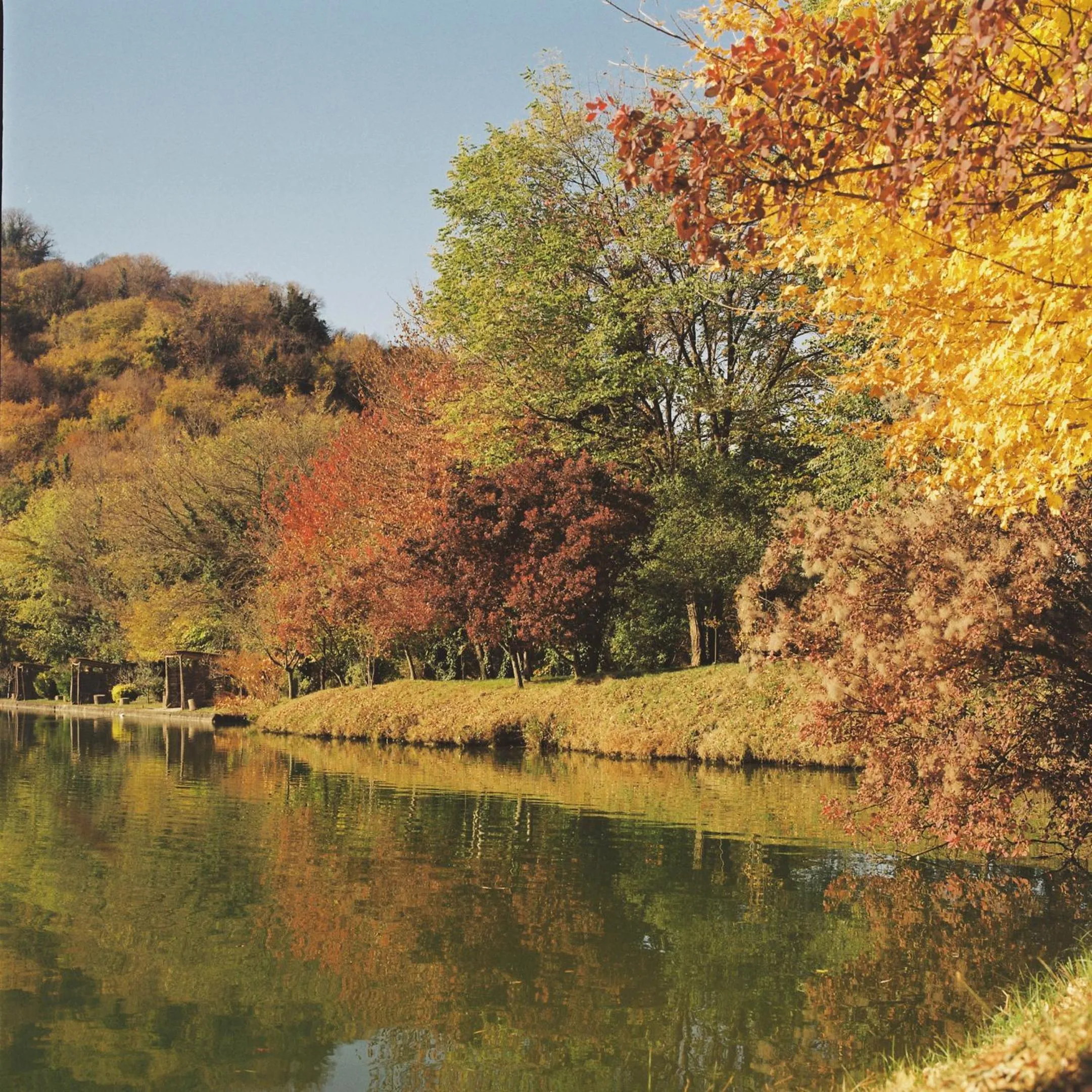 Lake view in Lopota Lake Resort & Spa