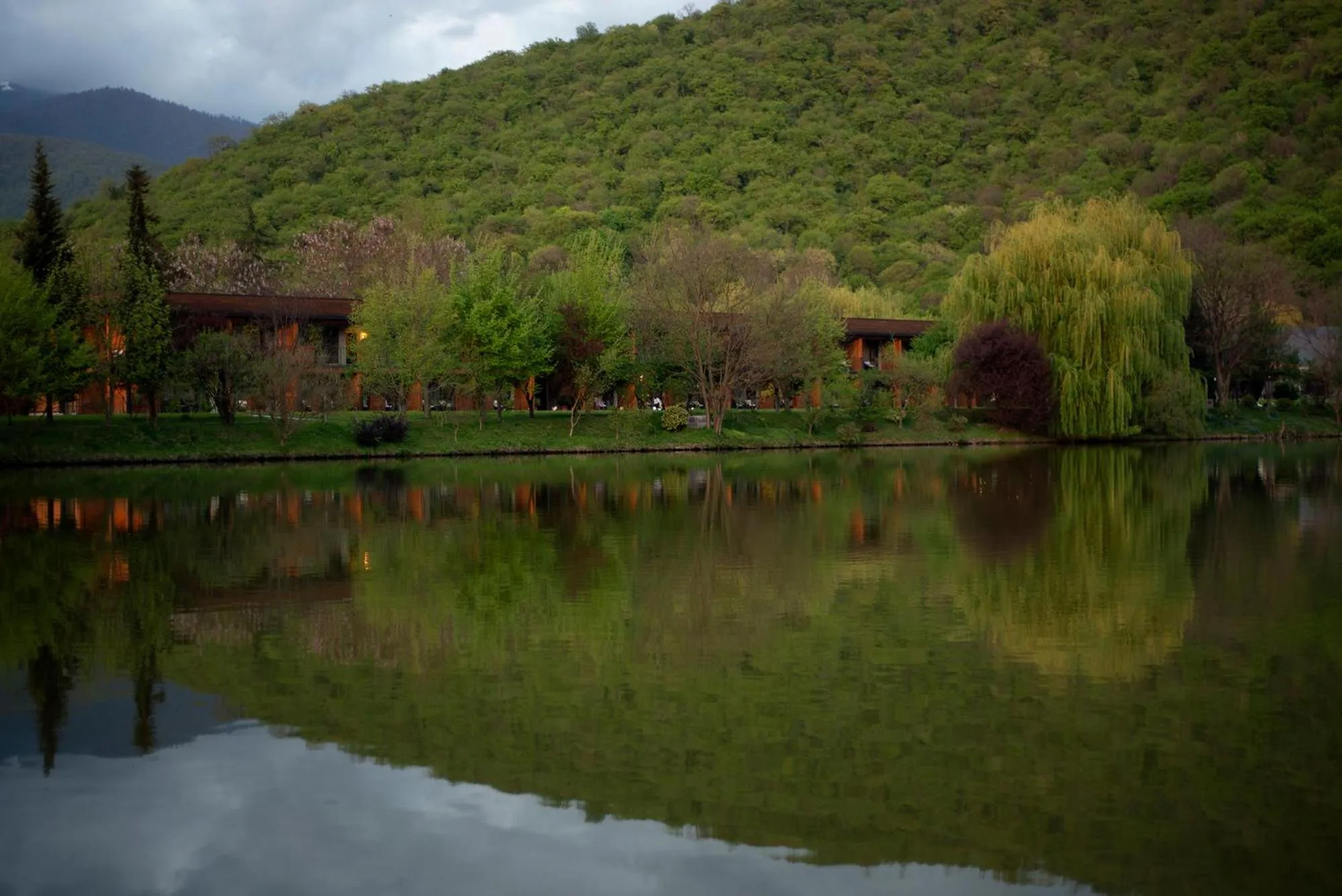 View (from property/room) in Lopota Lake Resort & Spa