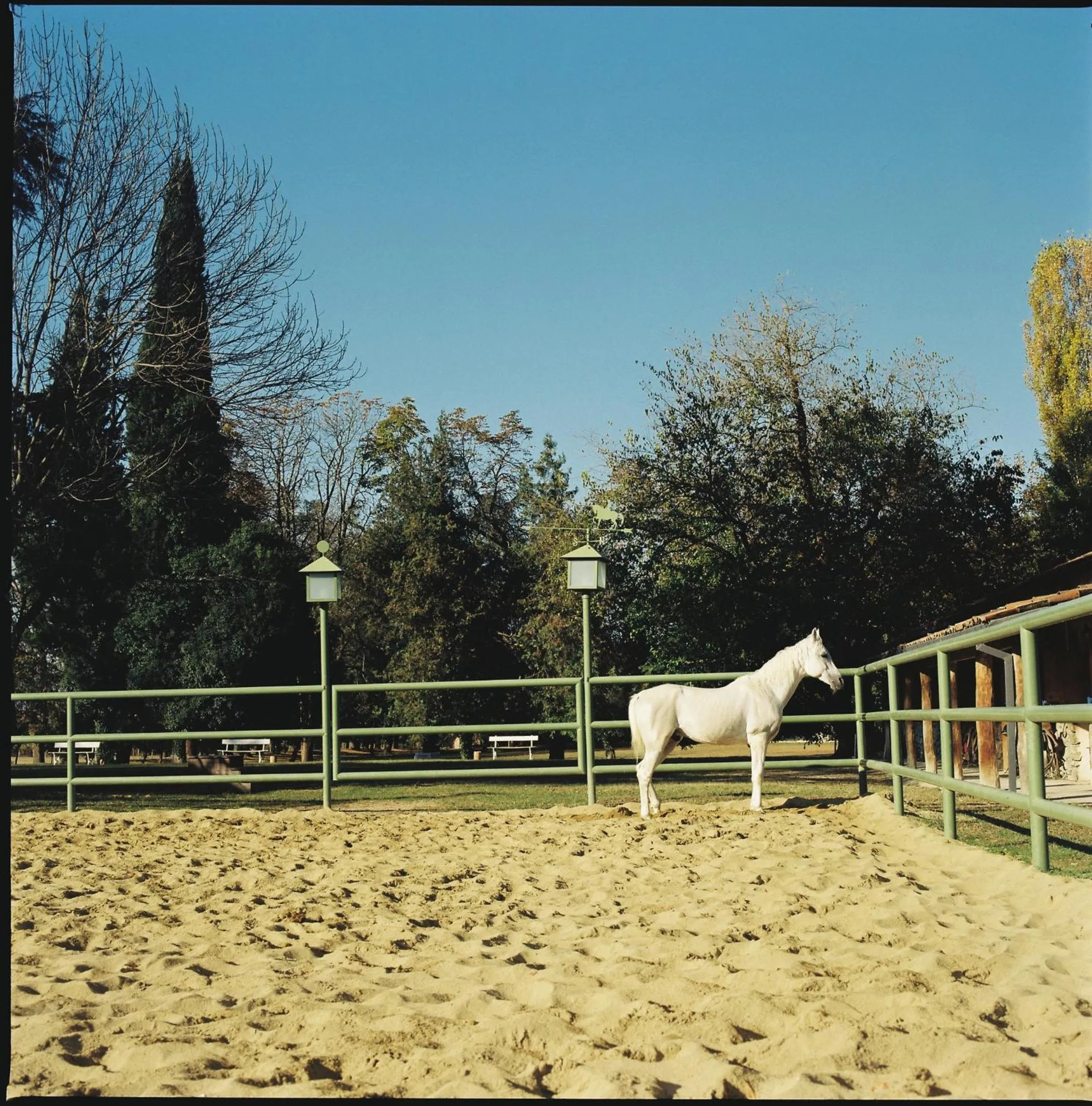 Horse-riding in Lopota Lake Resort & Spa