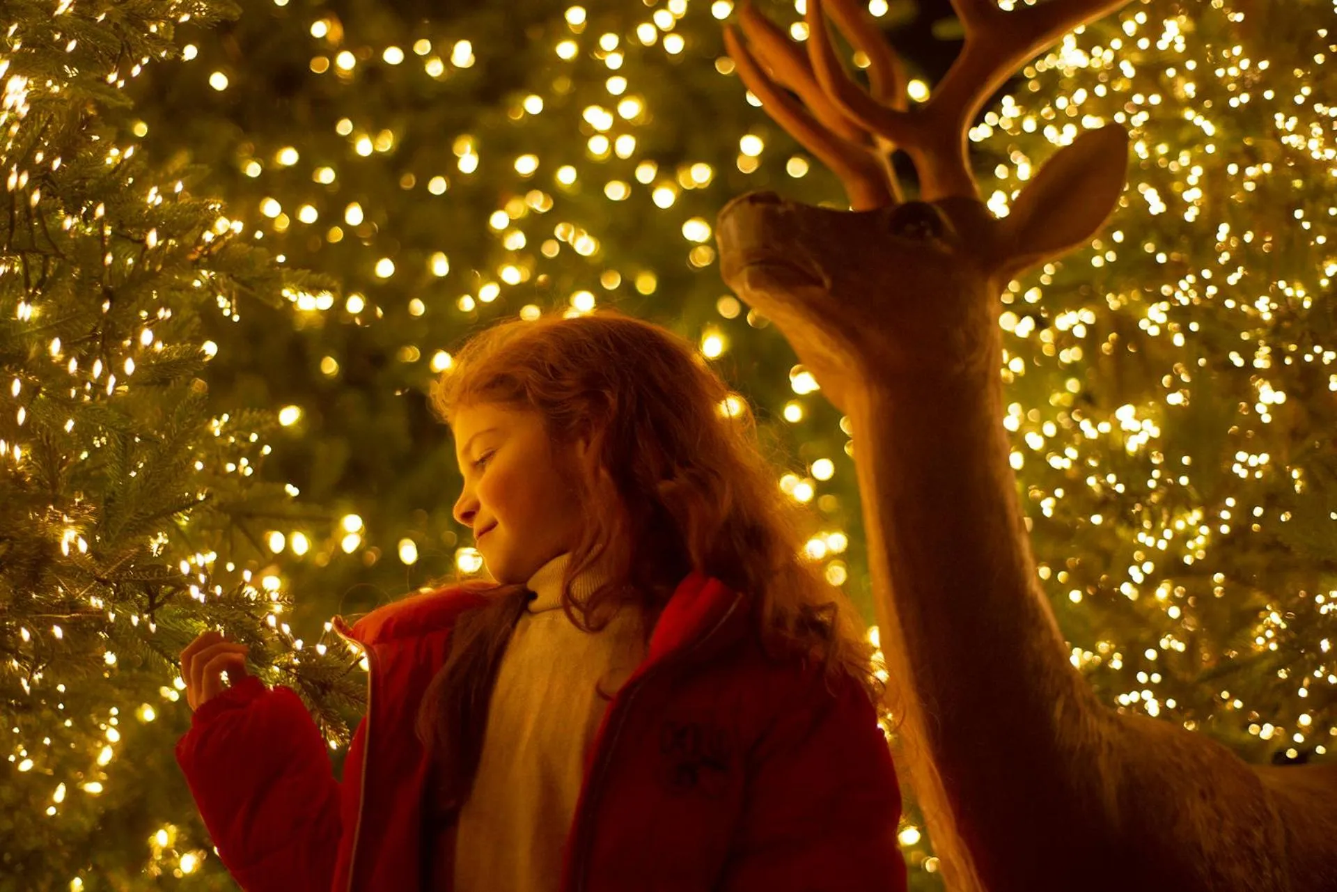 Activities in Lopota Lake Resort & Spa