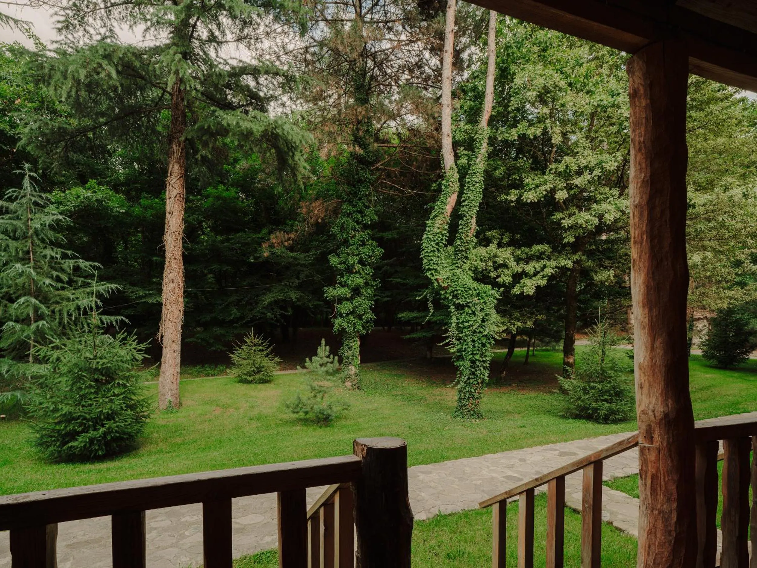 View (from property/room) in Lopota Lake Resort & Spa