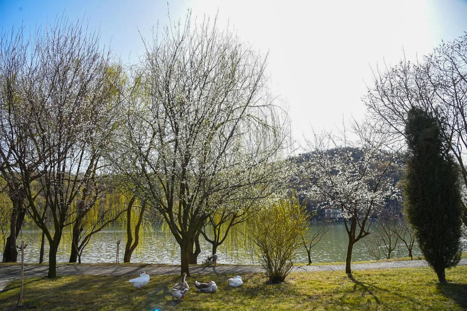 View (from property/room) in Lopota Lake Resort & Spa