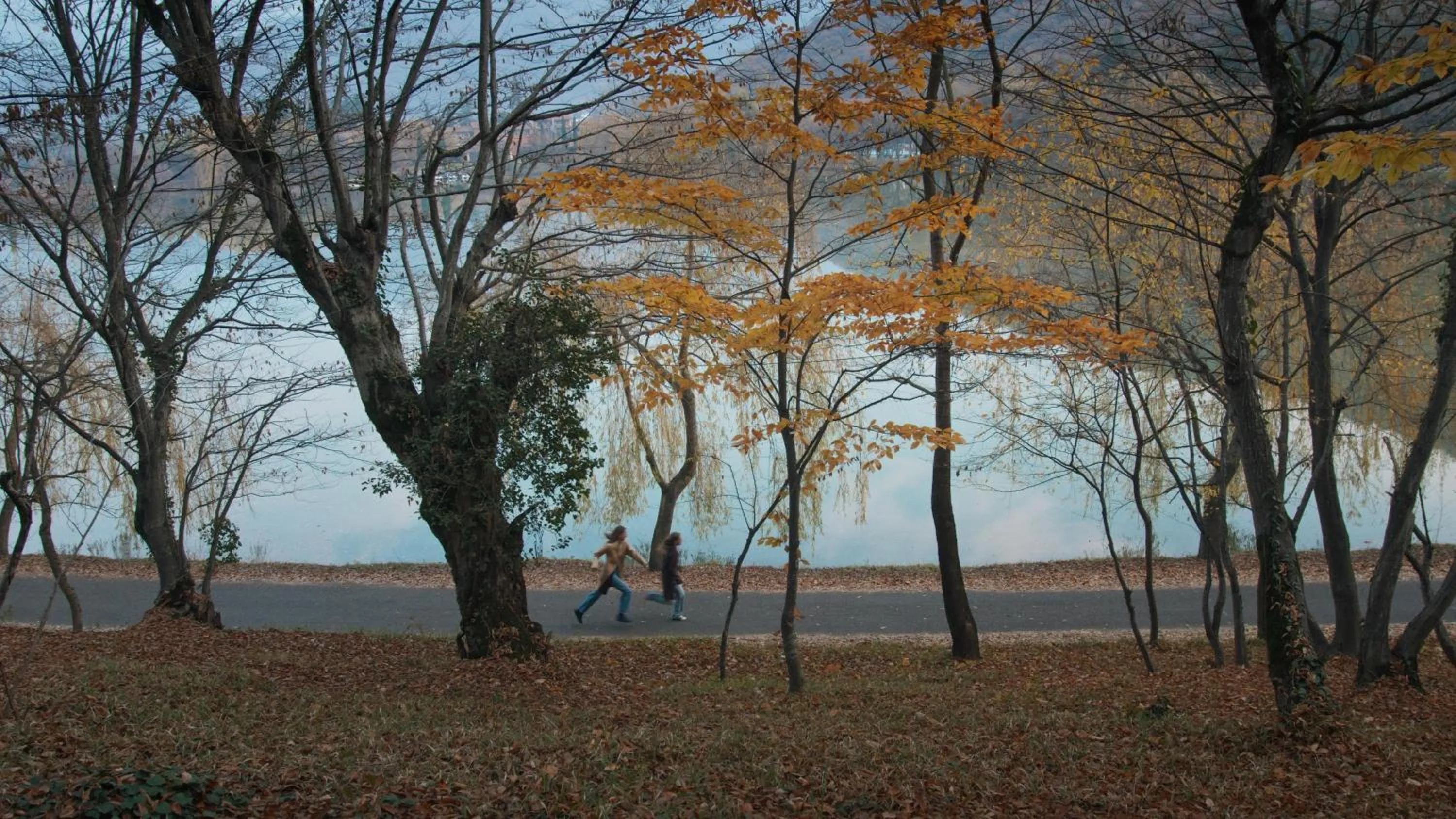 View (from property/room) in Lopota Lake Resort & Spa