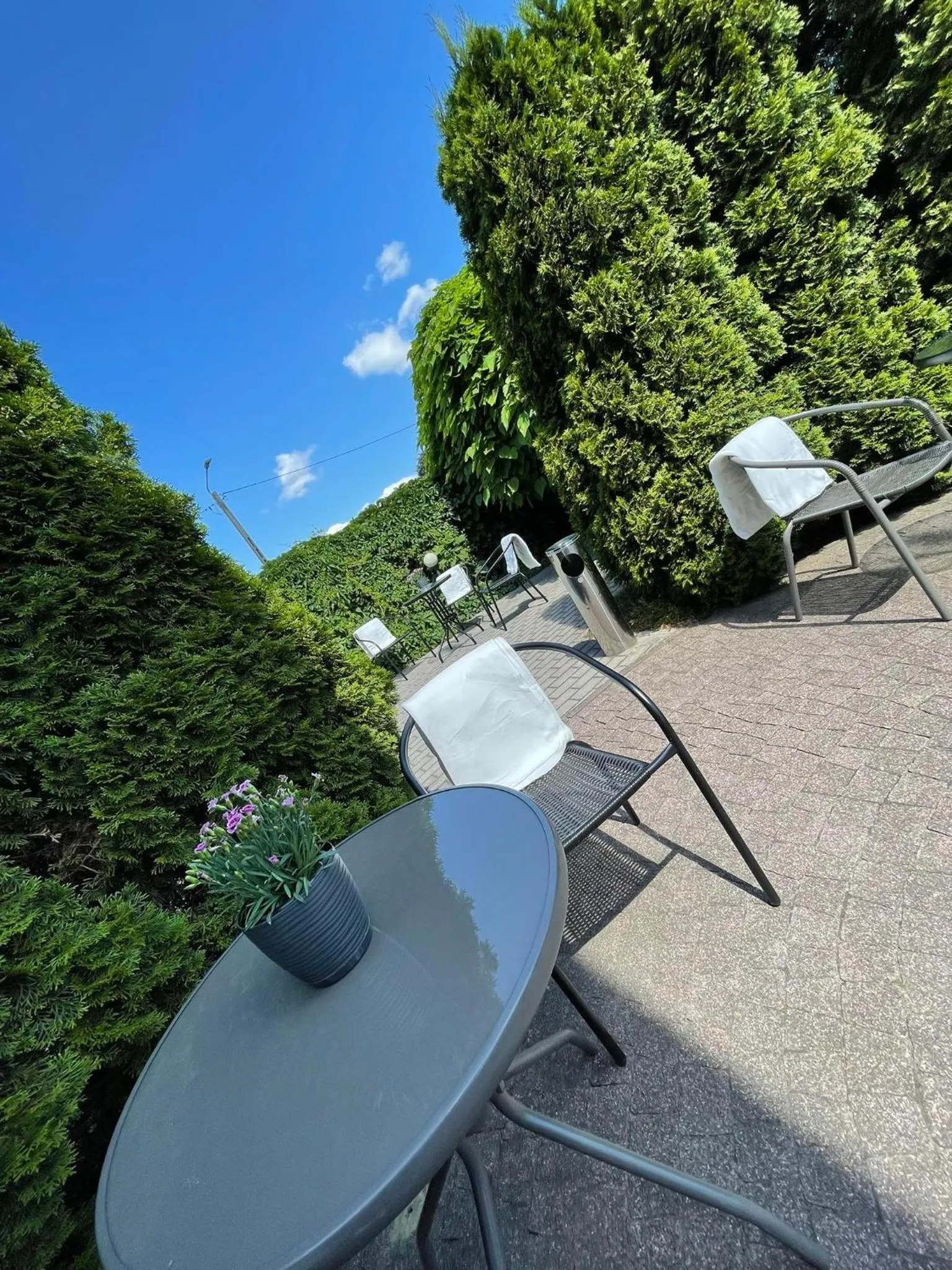 Property building in Villa Stary Kalisz