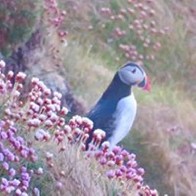 Windhaven Camping and B&B