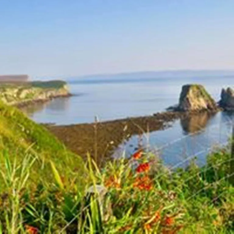 Windhaven Camping and B&B